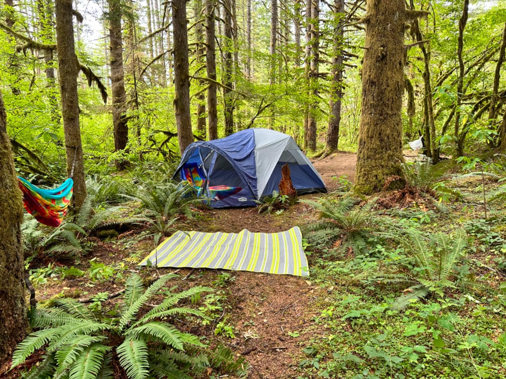 Pacific Pass 6 Person Dome Tent w/ Removable Rain Fly and Screen Room, Water Resistant - Navy/Gray - Customer Photo 1