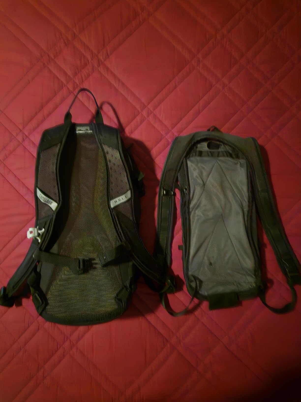 CamelBak M.U.L.E. Mountain Bike Hydration Pack Customer Review CamelBak M.U.L.E. Mountain Bike Hydration Pack - Customer Photo 2