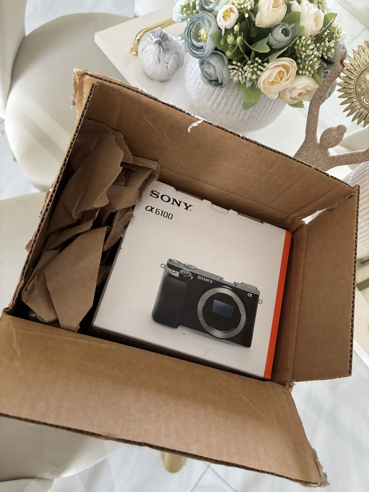 Sony Alpha A6100 Mirrorless Camera - Customer Photo 3