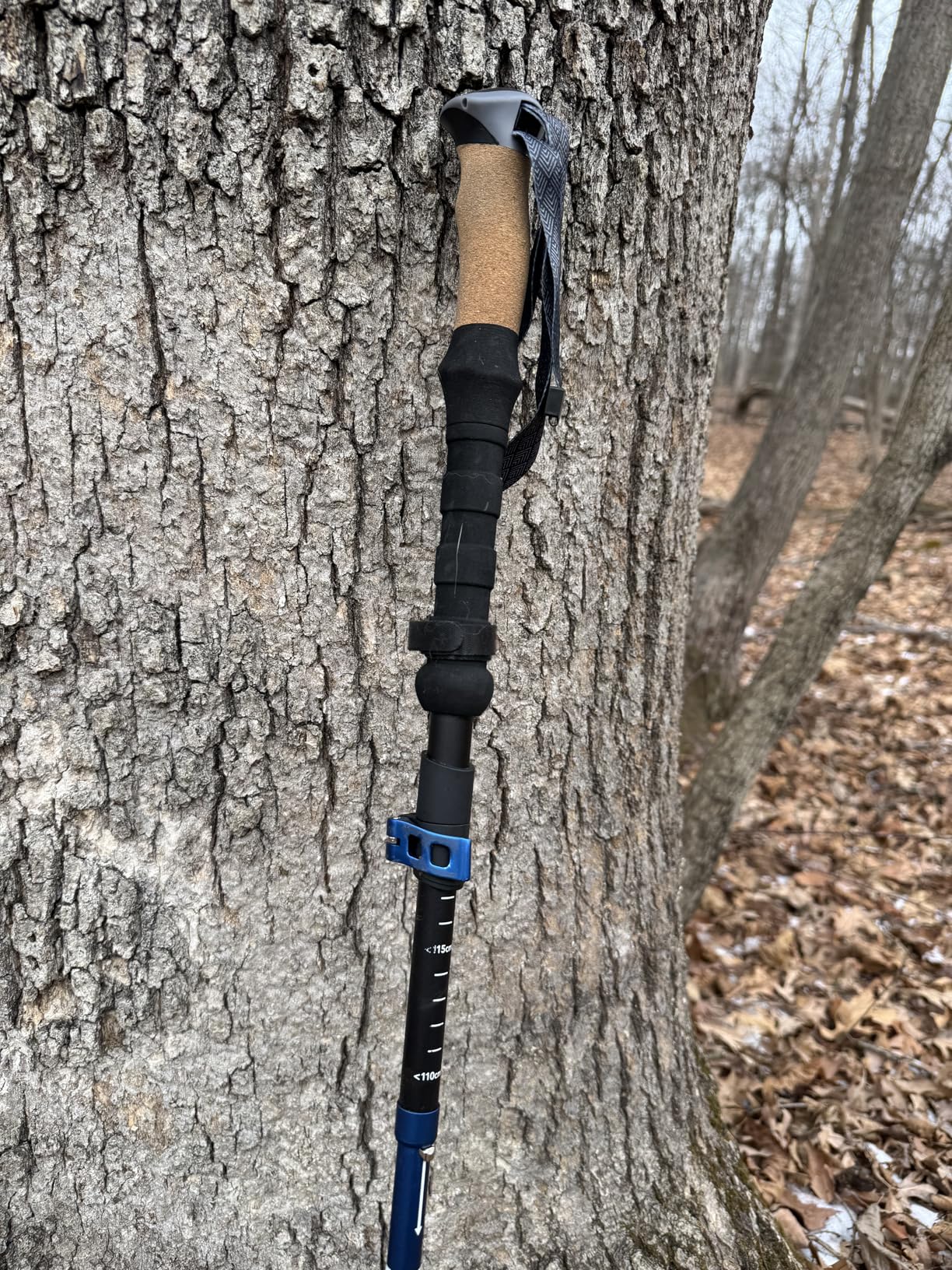 TREKOLOGY Trek-Z Cork Grip Trekking Poles - Lightweight Folding Hiking Poles, Adjustable Height, Compact Travel Design, Aircraft-Grade Aluminum Walking Sticks for Men & Women customer photo 1