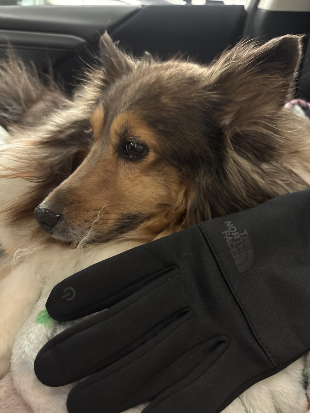 THE NORTH FACE Etip Fleece Recycled Gloves | Touchscreen Compatible Gear for Men & Women, Hand Warming Winter Essential Customer Review THE NORTH FACE Etip Fleece Recycled Gloves | Touchscreen Compatible Gear for Men & Women, Hand Warming Winter Essential - Customer Photo 1