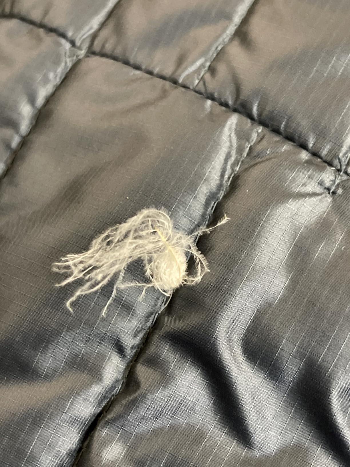 Rab Men's Microlight Alpine 700-Fill Down Hooded Puffer Jacket for Hiking & Skiing - Customer Photo 2