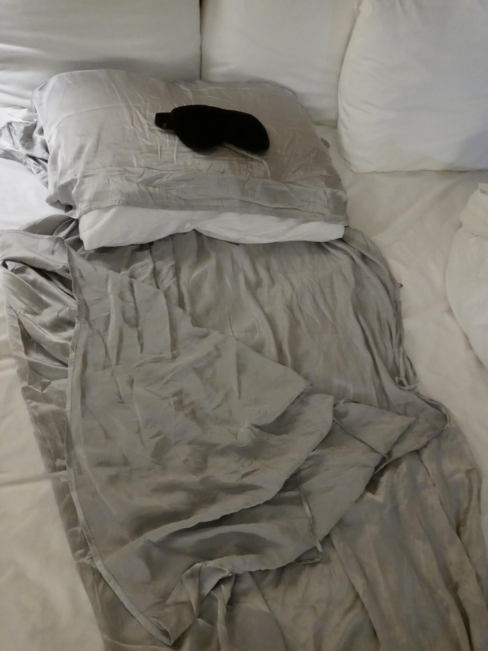 Cozysilk 100% Mulberry Silk Sleeping Bag Liner - 19 Momme Silk Single Size Sleep Sack - Customer Photo 1