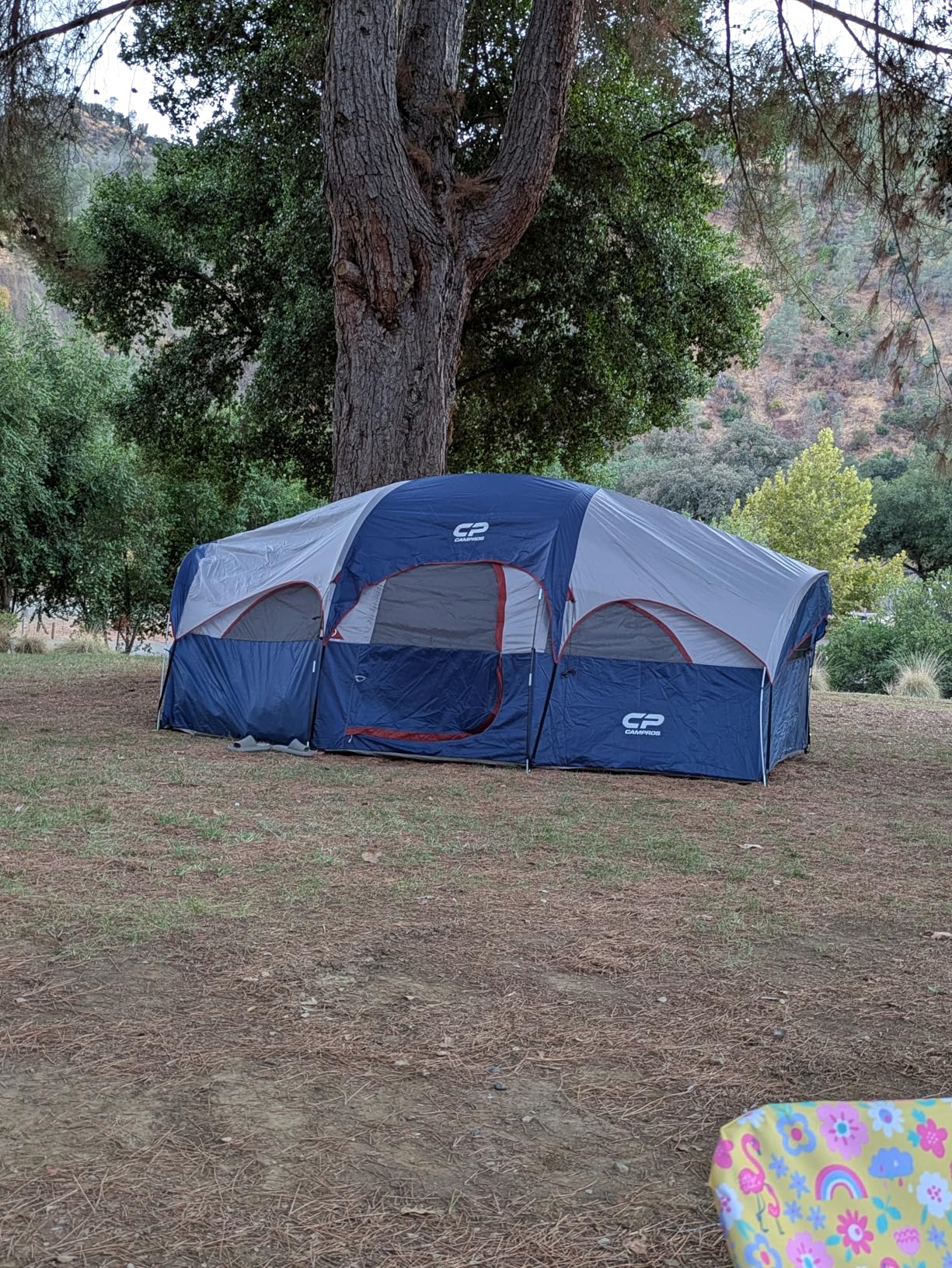 CAMPROS CP Tent 8 Person Camping Tents, Weather Resistant Family Tent, 5 Large Mesh Windows, Double Layer, Divided Curtain for Separated Room, Portable with Carry Bag customer photo 1