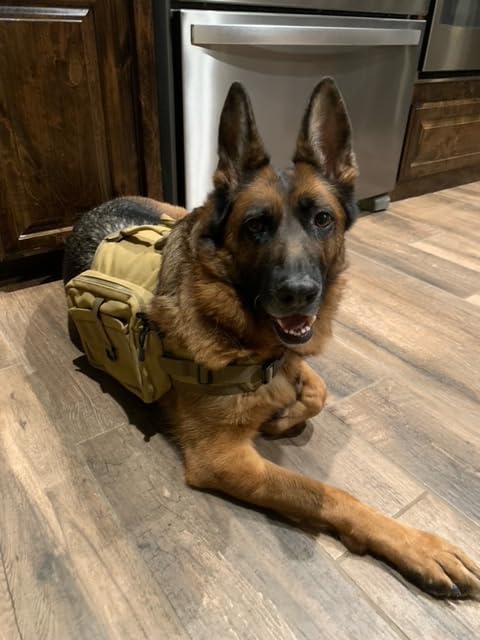 Himal Outdoors Dog Backpack & Saddle Bag, Tactical Hiking Backpack for Large Dogs with Side Pockets & Adjustable Strap - Customer Photo 2