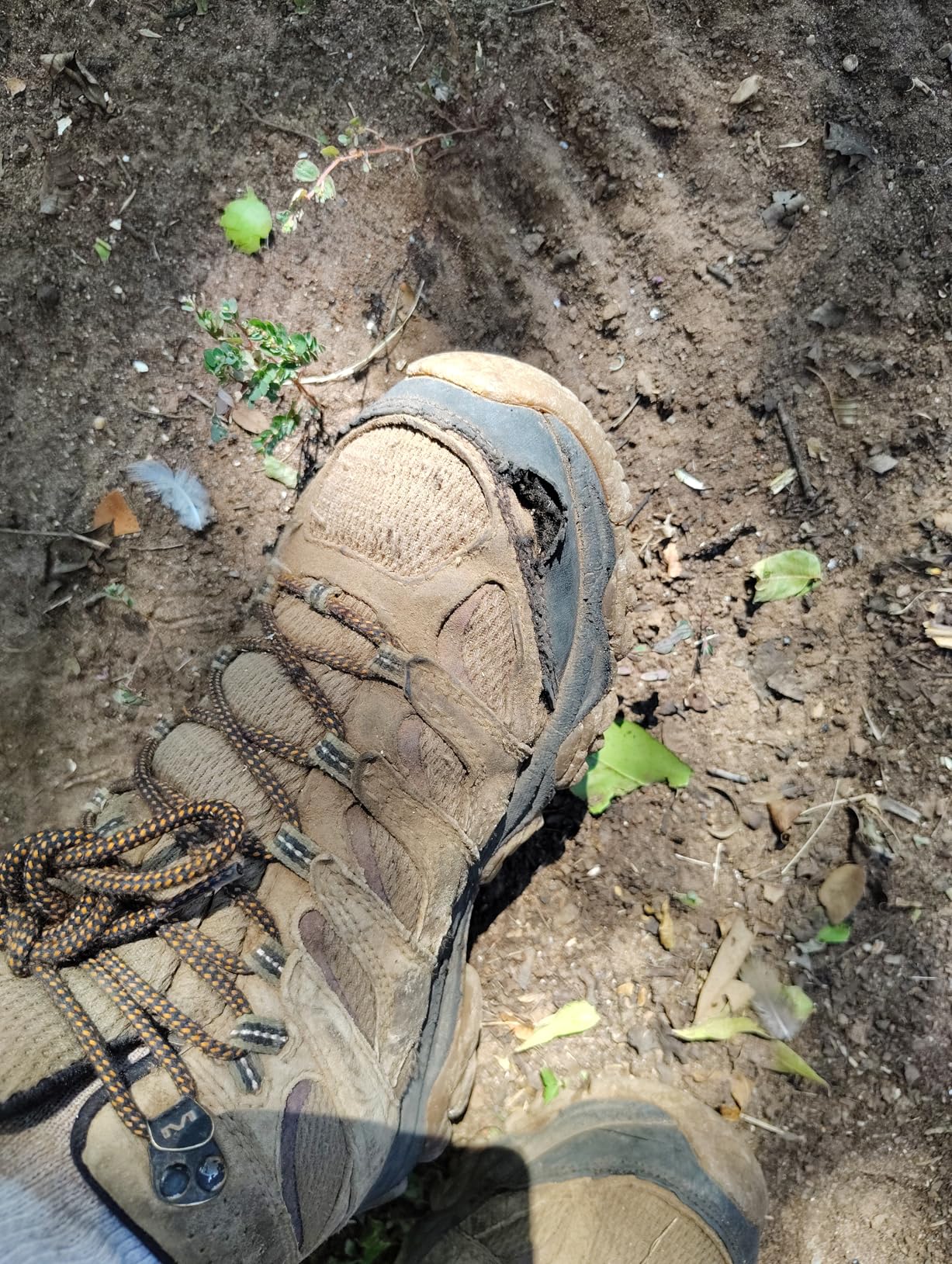 Merrell Men's Moab 3 Mid Waterproof Hiking Boots - Customer Photo 4