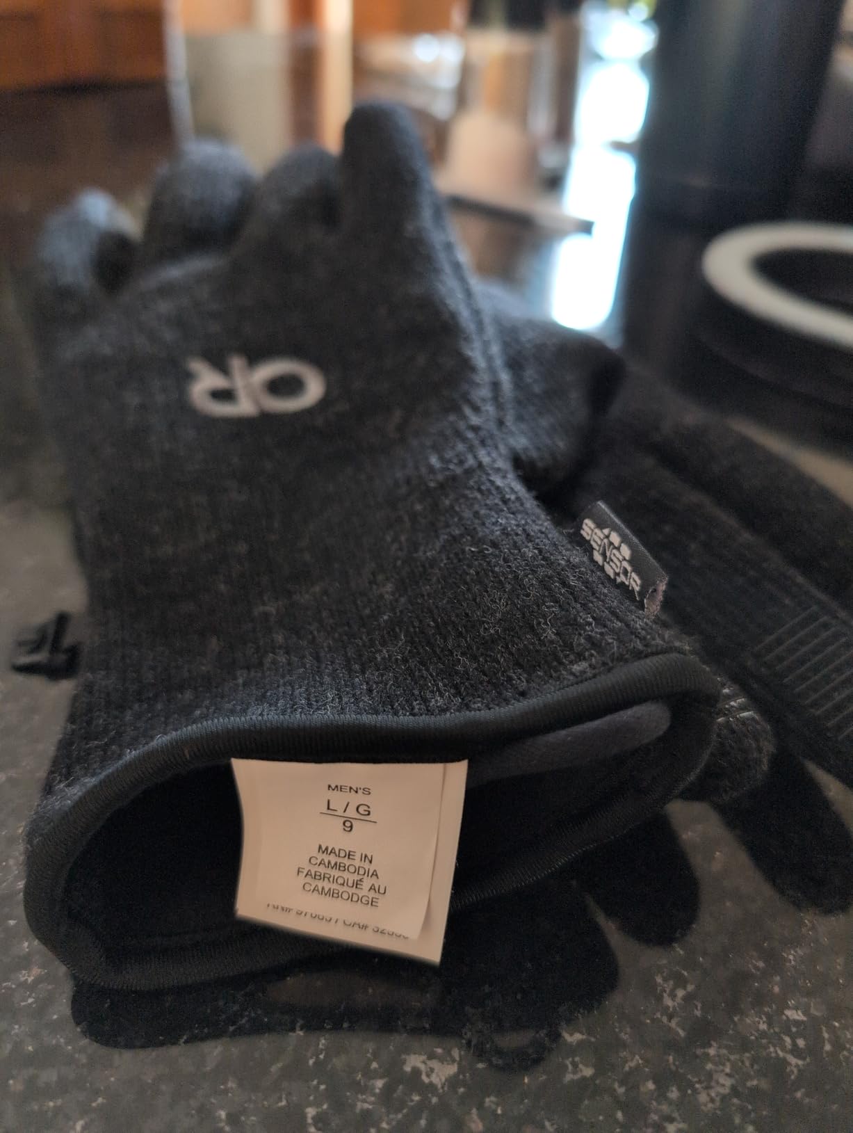 Outdoor Research Men's Flurry Sensor Gloves Customer Review Outdoor Research Men's Flurry Sensor Gloves - Customer Photo 1