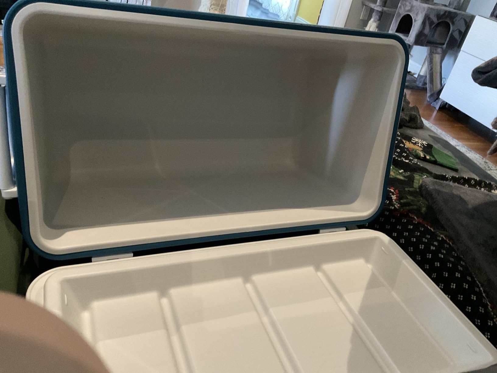 Coleman Chiller 48qt Insulated Portable Cooler with Ice Retention & Heavy-Duty Handles, Made in USA, Great for Camping, Tailgating, Parties, Sports, Concerts & More - Customer Photo 1