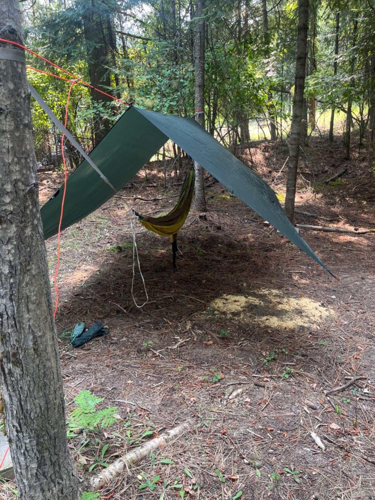 ENO, Eagles Nest Outfitters SingleNest Lightweight Camping Hammock - Customer Photo 1