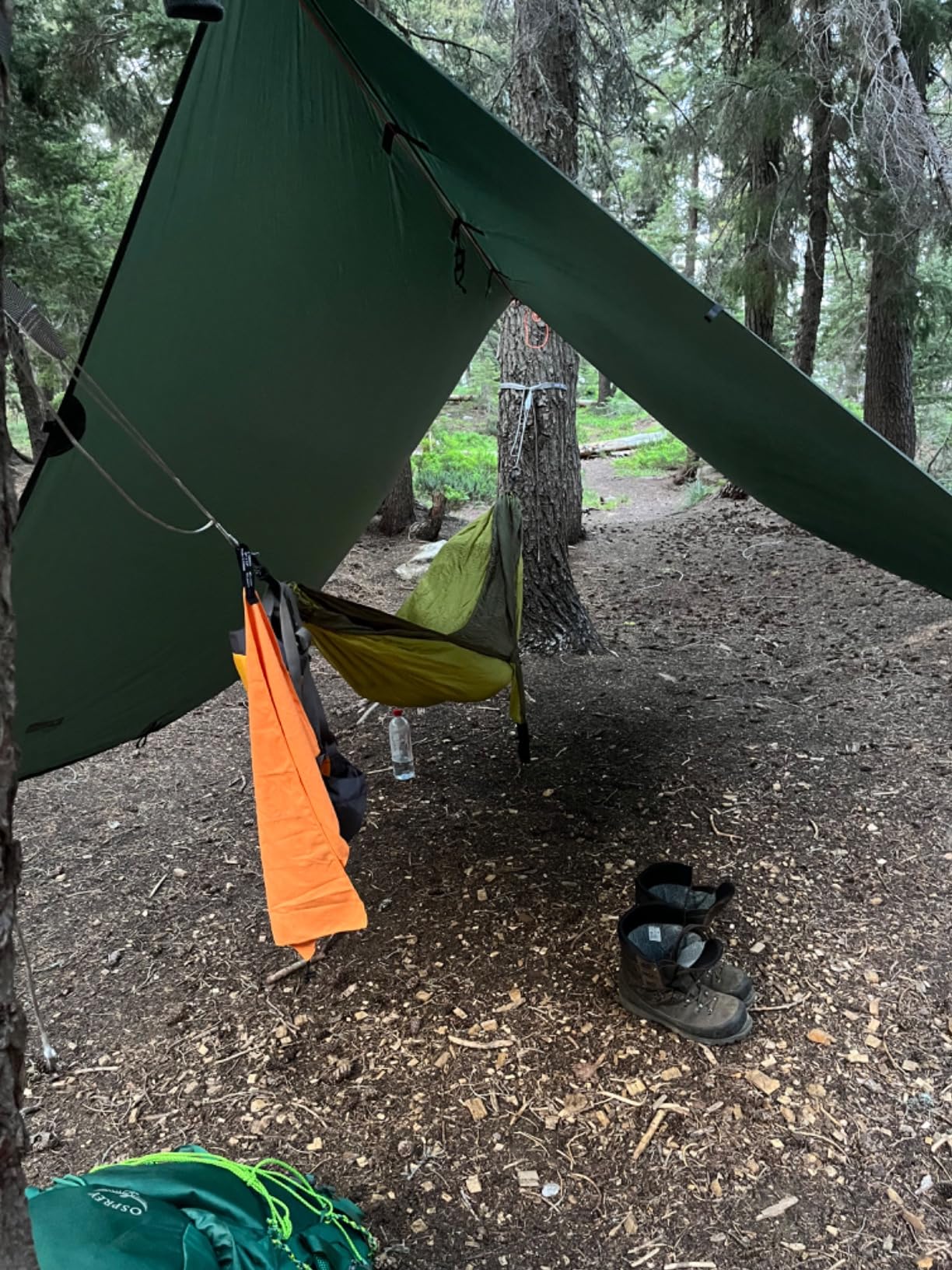 ENO, Eagles Nest Outfitters SingleNest Lightweight Camping Hammock - Customer Photo 2