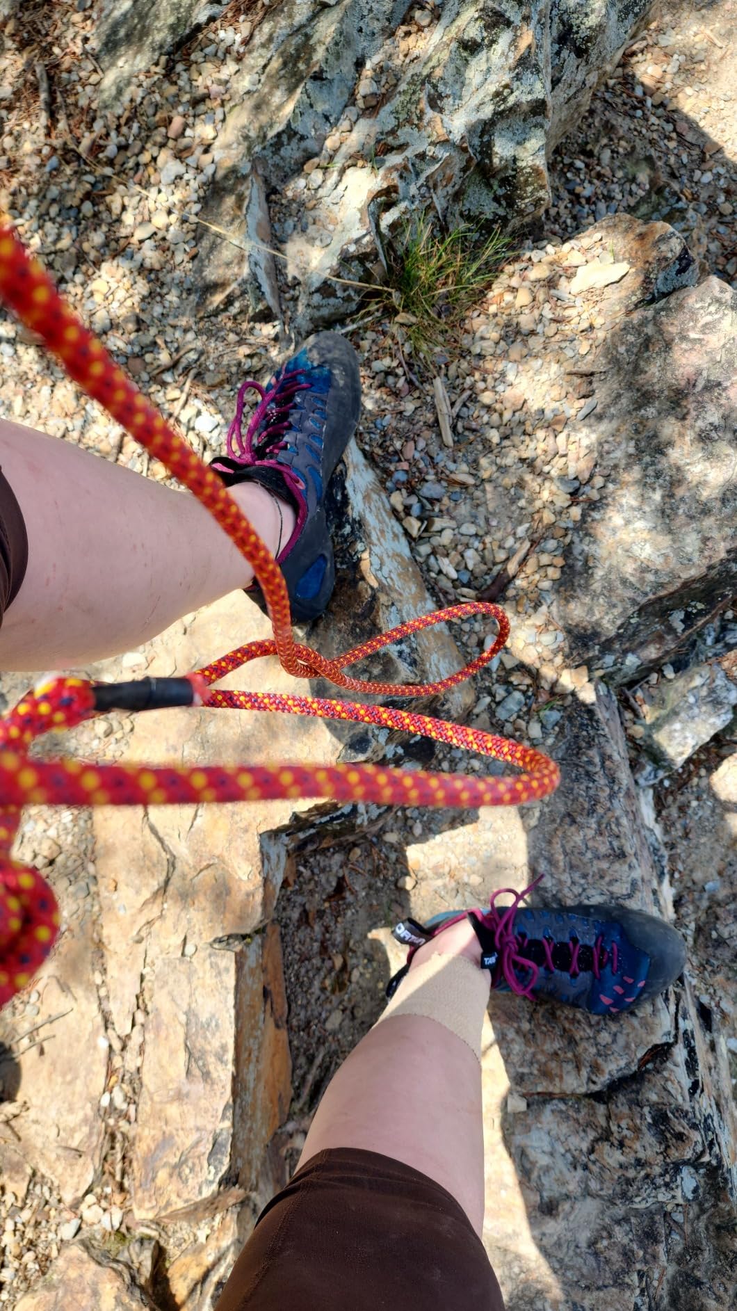 La Sportiva Womens Tarantulace Rock Climbing Shoes Customer Review La Sportiva Womens Tarantulace Rock Climbing Shoes - Customer Photo 2
