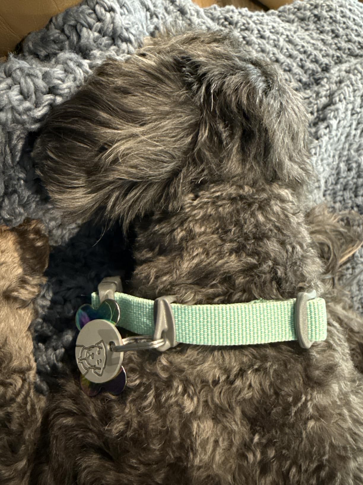 Ruffwear Hi & Light Dog Collar, Ultralight Quick Release Buckle, Adjustable Trail Running Polyester Collar with Silent ID Attachment, Sage Green, 9
