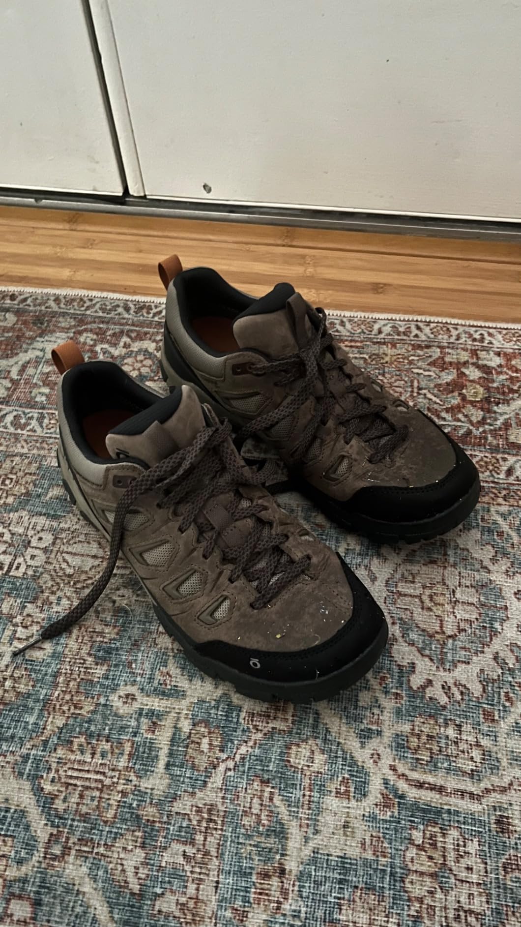 Oboz Men's Sawtooth X Low B-Dry Hiking Shoes - Customer Photo 2