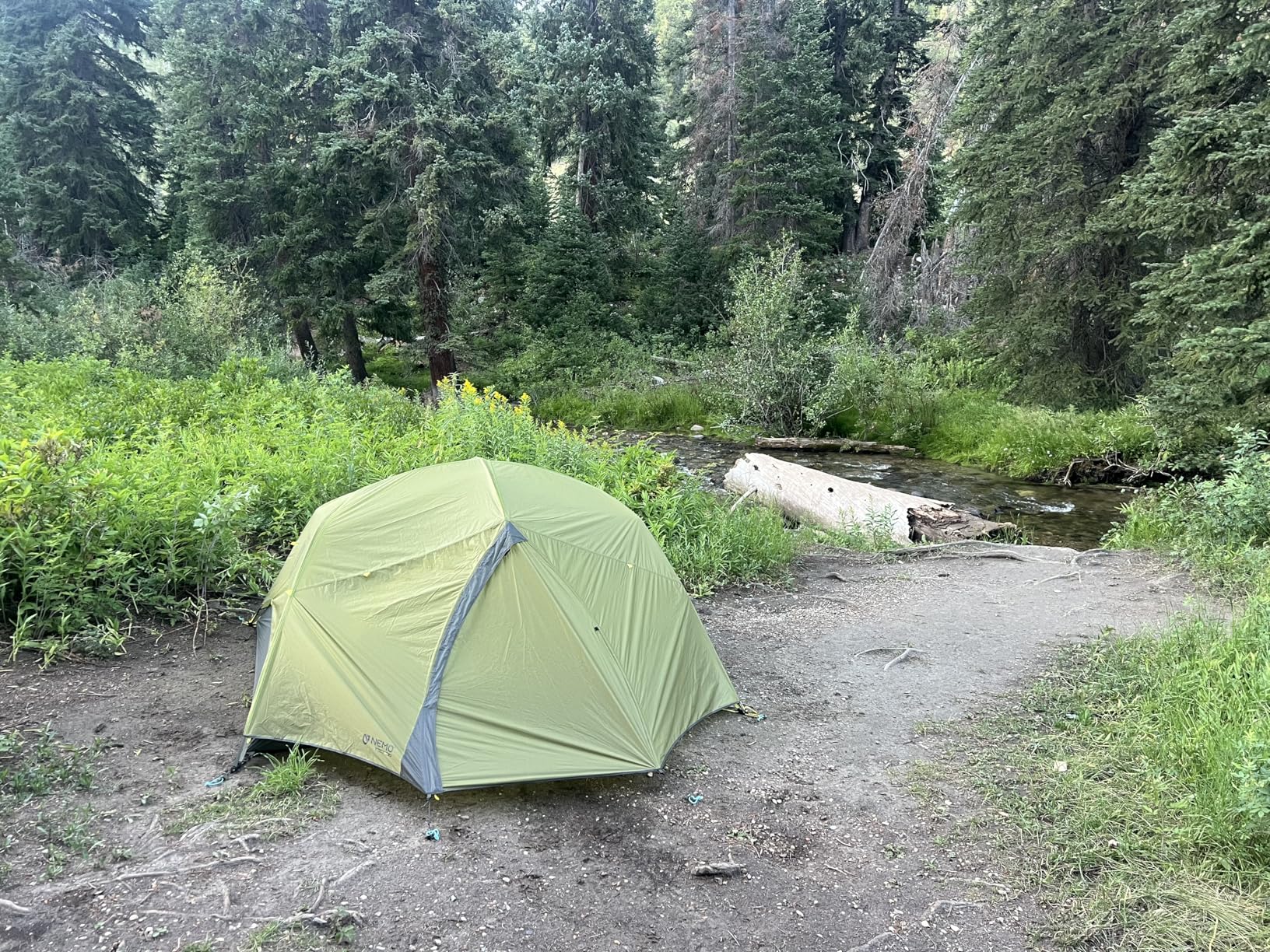 NEMO Equipment Dagger OSMO Lightweight Backpacking Tent - Customer Photo 2