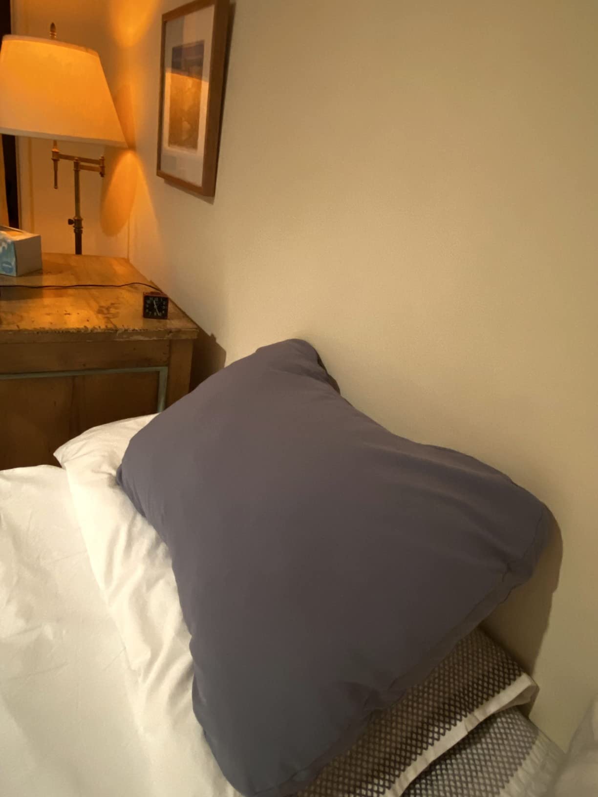 HEST Camping Pillow - Temperature Resilient, Memory Foam, Packable Travel Pillow Customer Review HEST Camping Pillow - Temperature Resilient, Memory Foam, Packable Travel Pillow - Customer Photo 2