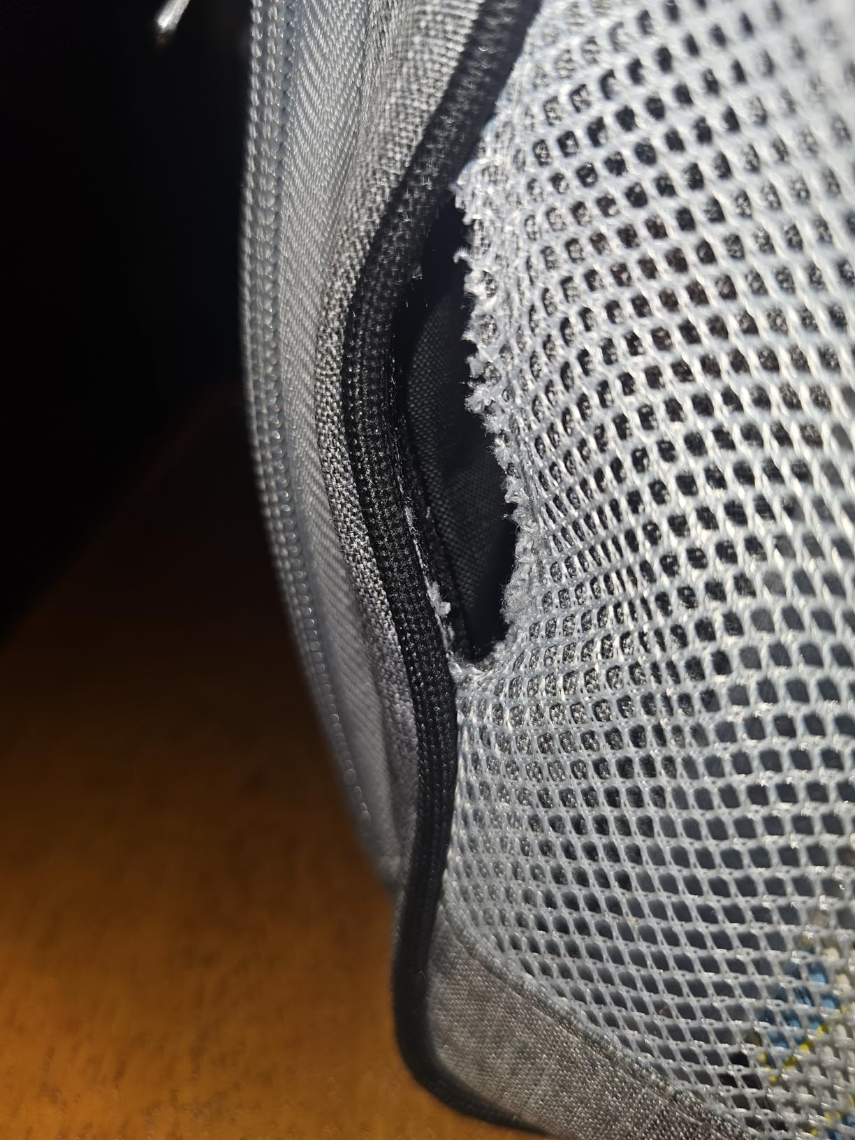 Amazon Basics Soft Insulated Cooler Customer Review Amazon Basics Soft Insulated Cooler - Customer Photo 1