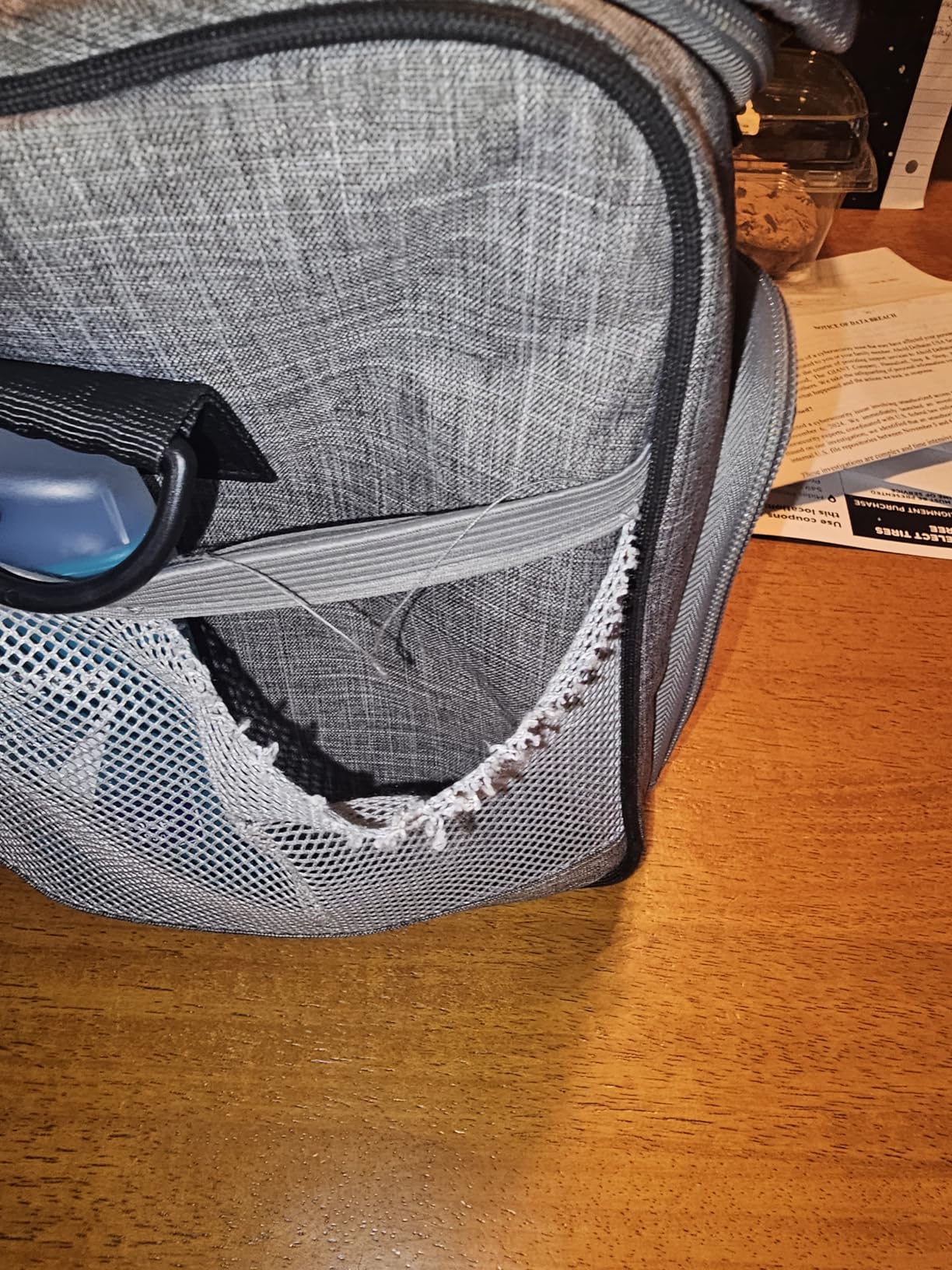 Amazon Basics Soft Insulated Cooler Customer Review Amazon Basics Soft Insulated Cooler - Customer Photo 2