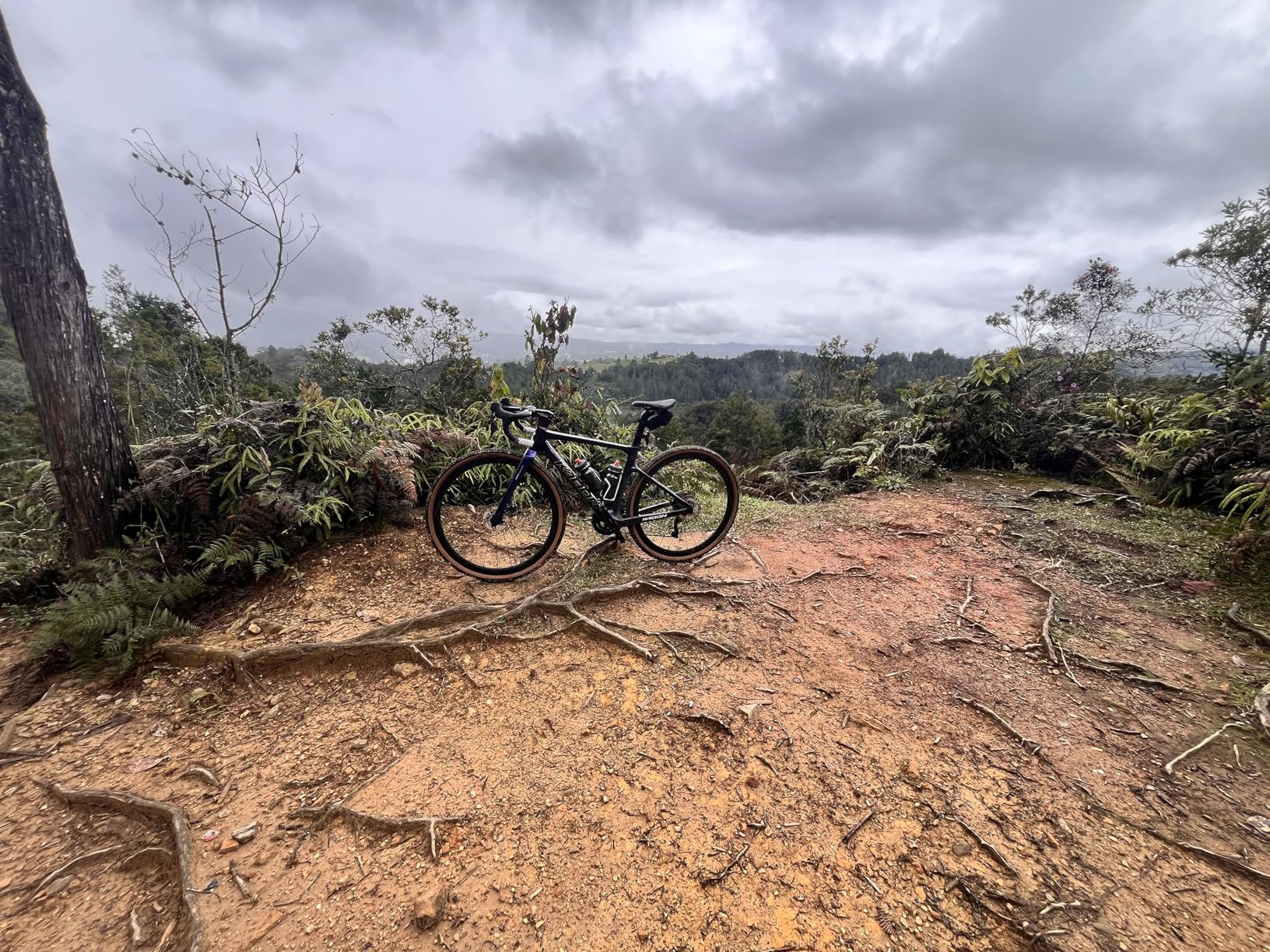 KABON Carbon Gravel Road Bike, T800 Carbon Fiber Frame Adventure Bicycle with 105 R7000 22 Speed Disc Brake Racing Bicycle for Men and Women Customer Review KABON Carbon Gravel Road Bike, T800 Carbon Fiber Frame Adventure Bicycle with 105 R7000 22 Speed Disc Brake Racing Bicycle for Men and Women - Customer Photo 1