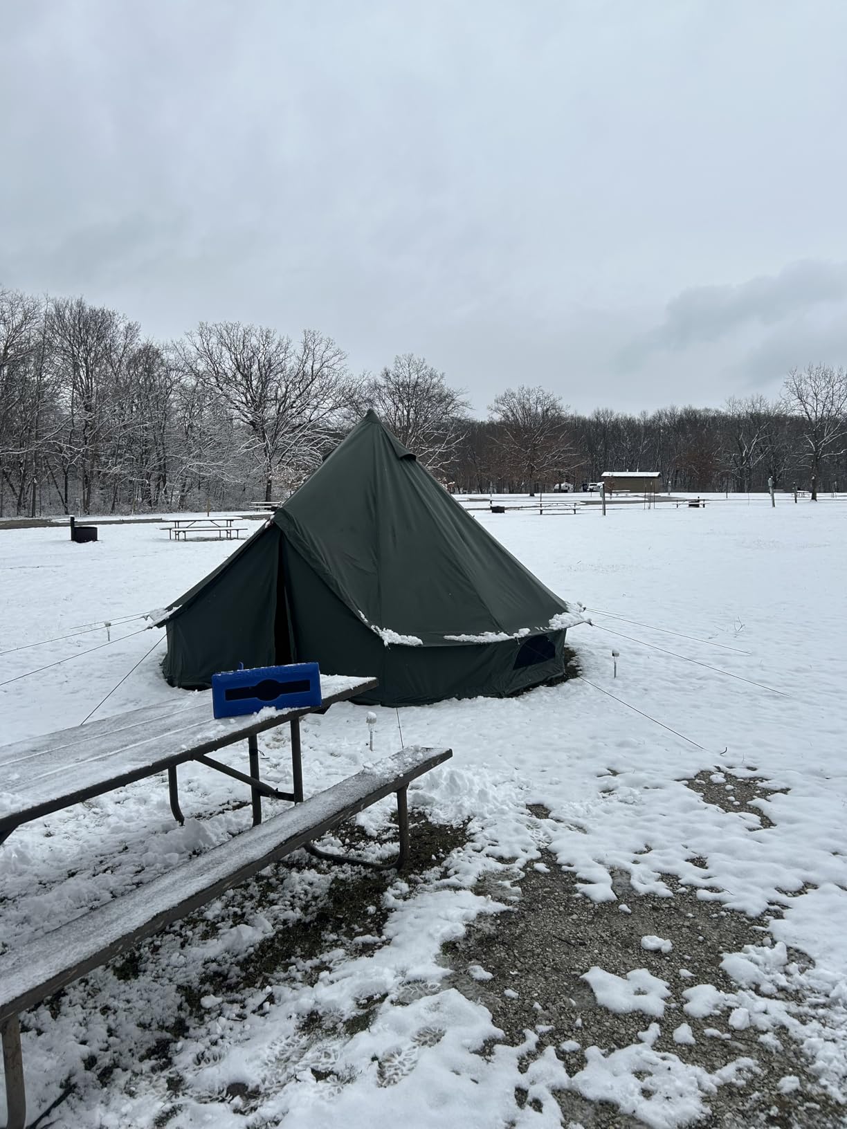 WaldZimmer Cotton Canvas Bell Tent with Stove Jack, Roomy Yurt for Family Glamping Camping, 4 Season Tent with Zipped Removable Floor - Customer Photo 2