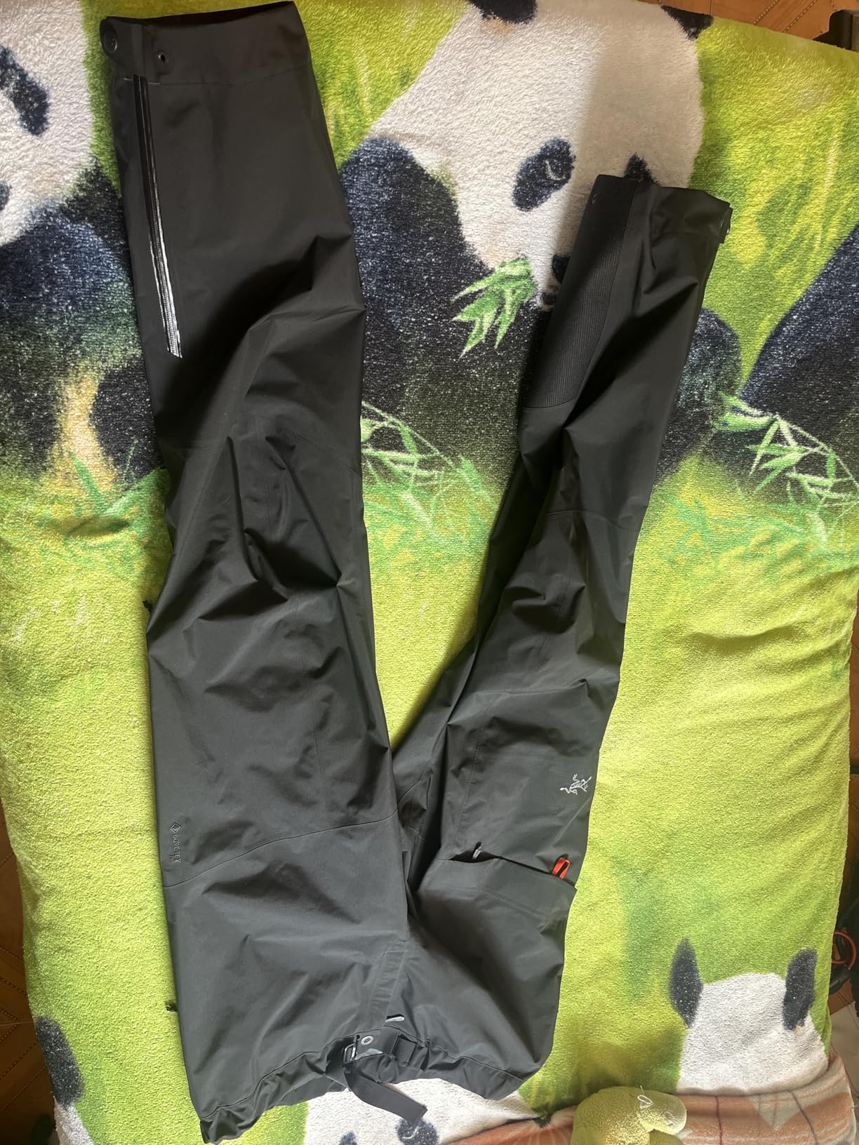 Arc'teryx Beta AR Pant Men's | Versatile Gore-Tex Pro Pant for All Round Use Customer Review Arc'teryx Beta AR Pant Men's | Versatile Gore-Tex Pro Pant for All Round Use - Customer Photo 1