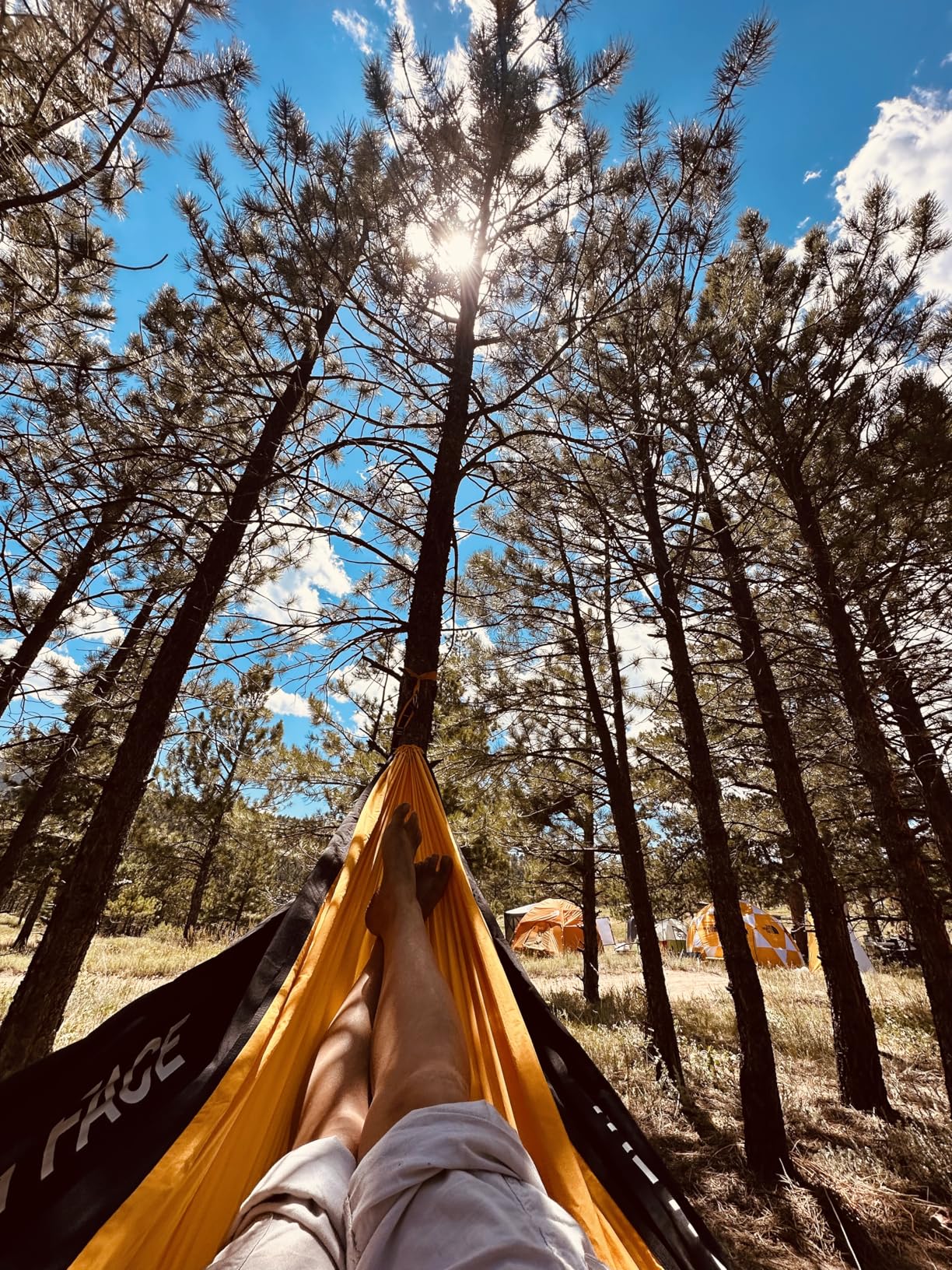 THE NORTH FACE Wawona Camp Hammock - Includes Carabiners & Tree Straps for Easy Setup, Storage Bag Doubles as Pocket, Summit Gold/TNF Black, One Size - Customer Photo 1