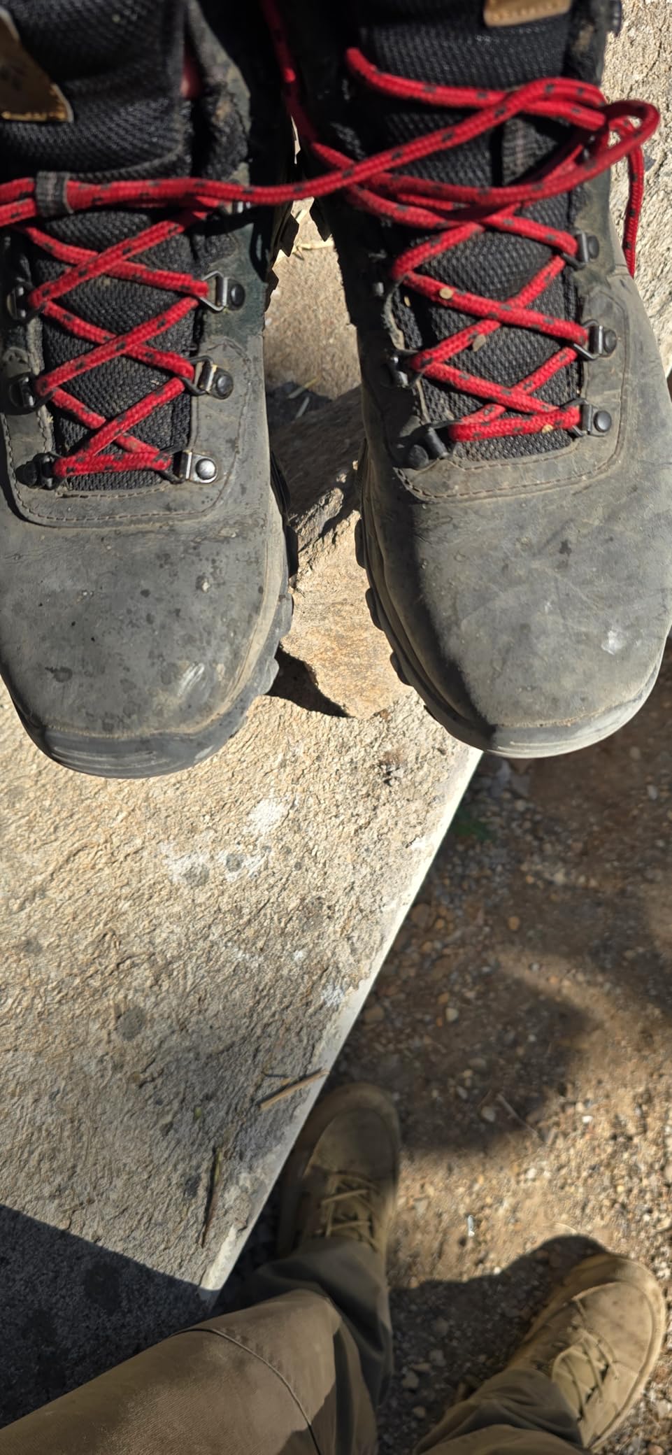 Columbia Men's Newton Ridge Plus Ii Waterproof Hiking Shoe - Customer Photo 2