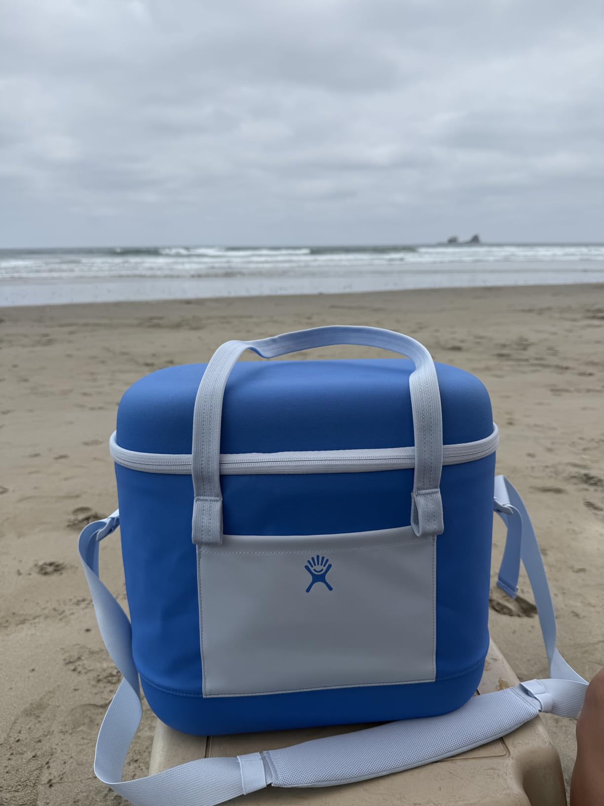 Hydro Flask Cooler Backpack - Insulated Portable Soft Cooler - 20 L Capacity in Agave Green - Customer Photo 2