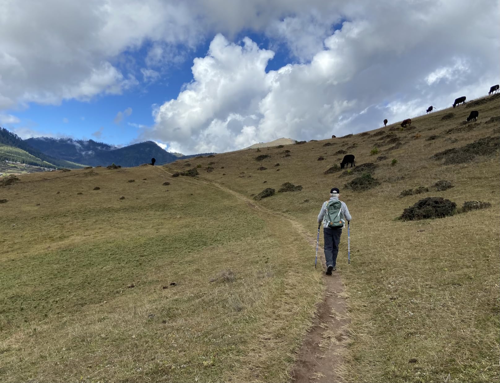 Osprey Hikelite 26L Unisex Hiking Backpack – Lightweight Daypack with Breathable Backpanel and Raincover - Customer Photo 1