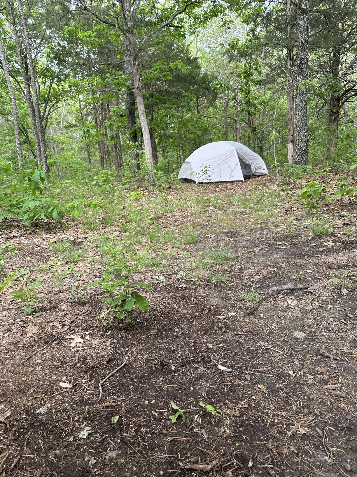 Naturehike Mongar 2 Person 3 Season Camping Tent Ultralight Backpacking Tent for Hiking Cycling Customer Review Naturehike Mongar 2 Person 3 Season Camping Tent Ultralight Backpacking Tent for Hiking Cycling - Customer Photo 2