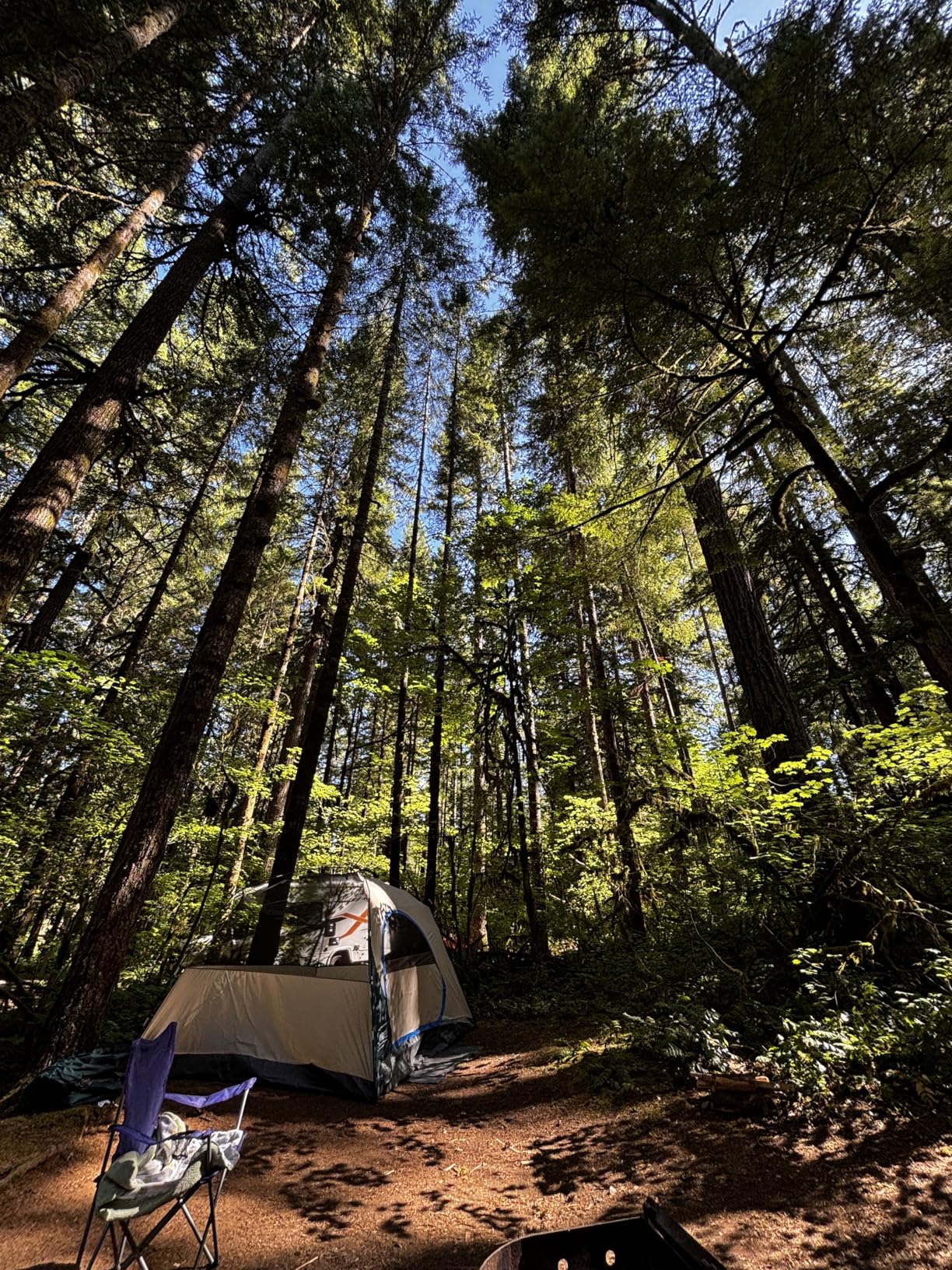 Coleman Skydome Tent with 5 Minute Setup, 2/4/6/8-Person Weatherproof Tent with Rainfly & Carry Bag, 20% More Headroom Than Traditional Canopies - Customer Photo 4