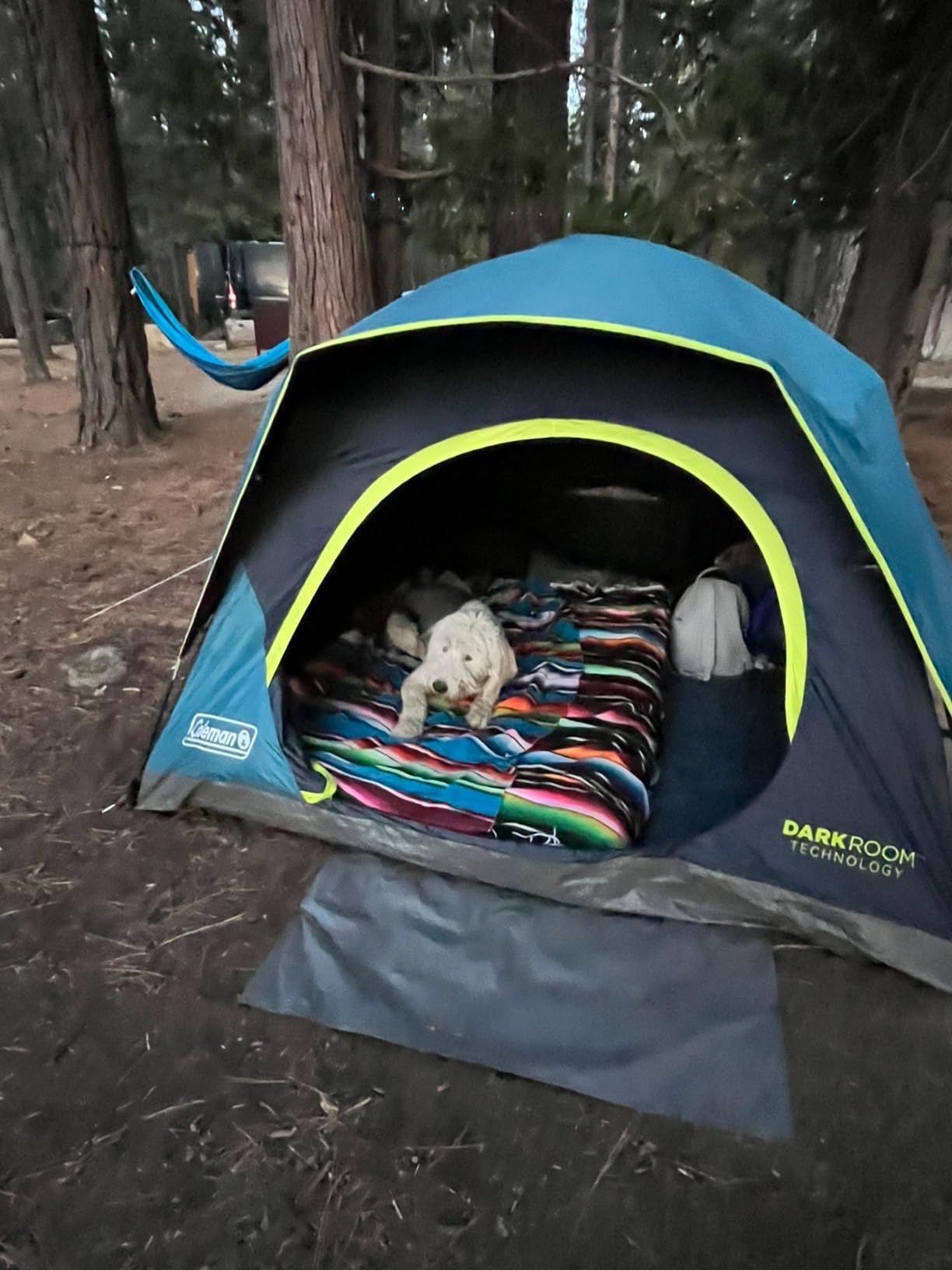 Coleman 4/6/8/10 Person Skydome Dark Room Tent with Rainfly, 5 Minute Setup, Blocks 90% of Sunlight, 20% More Headroom Than Traditional Tents - Customer Photo 1