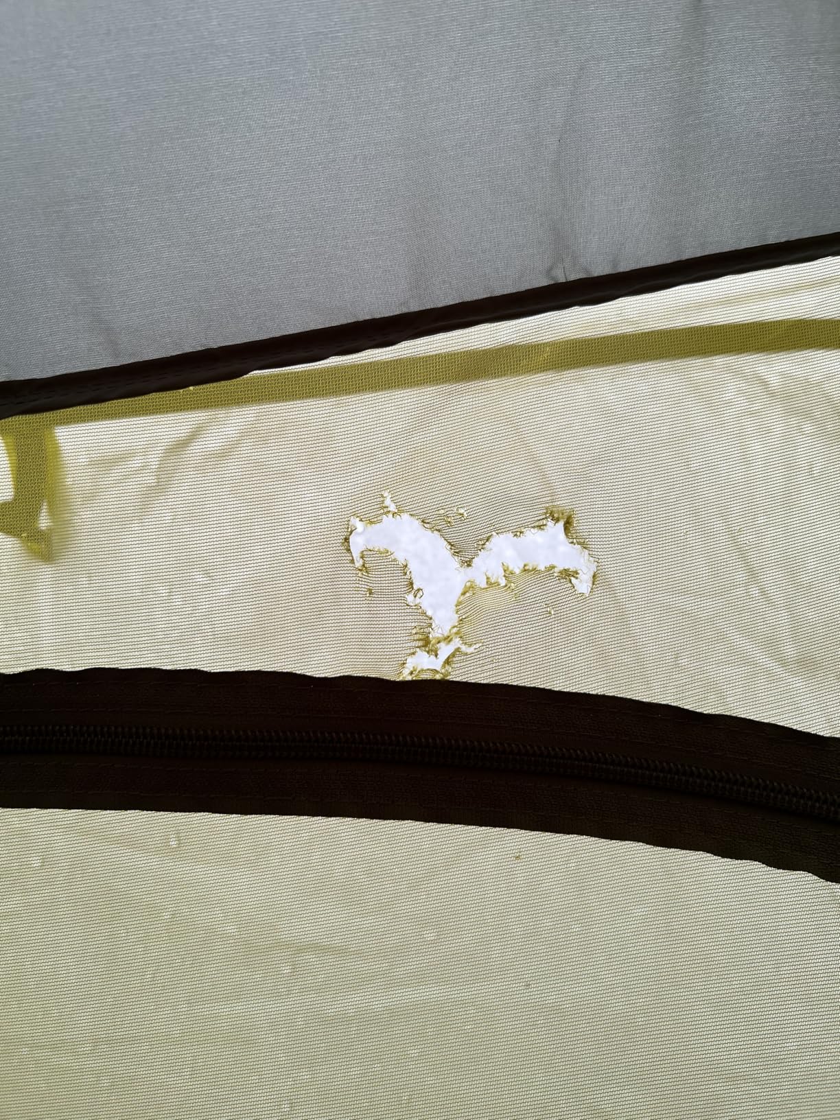 The North Face Tents Stormbreak 3 Three-Person Camping Tent - Ventilation Openings for Optimal Airflow, Water Repellent Finish - Customer Photo 5