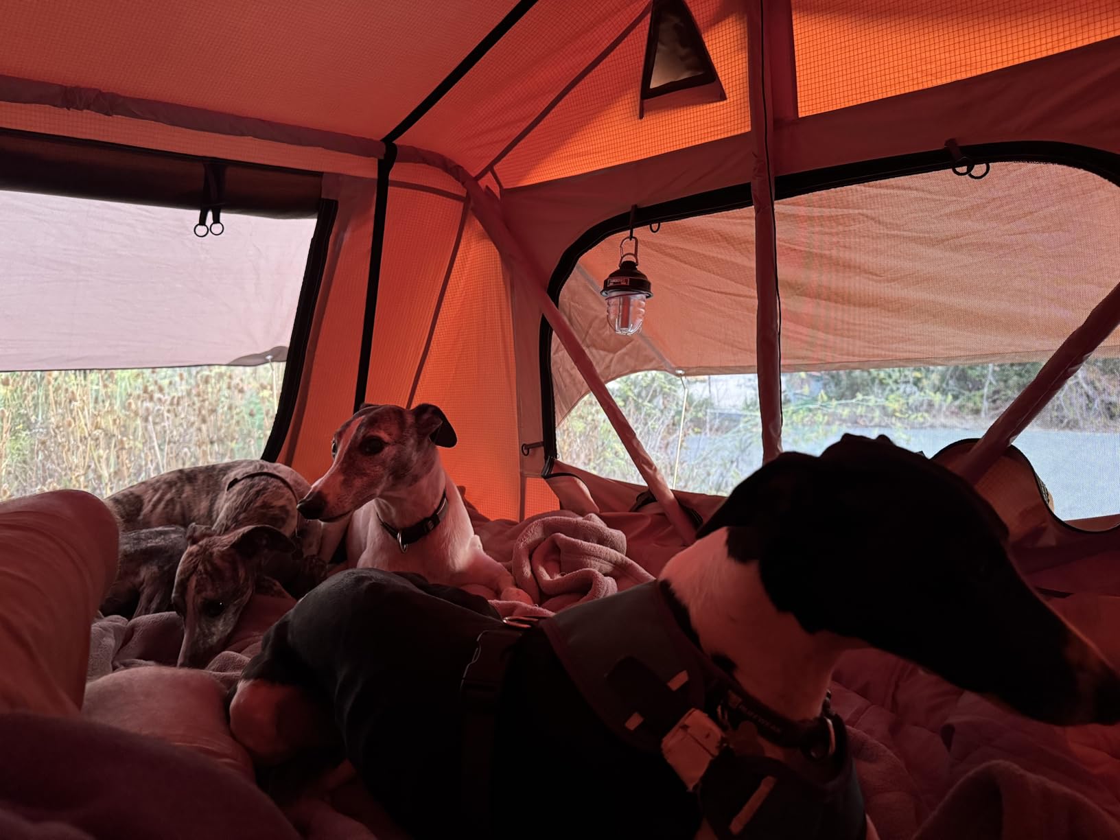 VEVOR Rooftop Tent Hard Shell, Roof Top Tent for Car SUV Truck Jeep Van Camping, Roof Tent with Telescopic Ladder Thick Mattress & LED Strip Light, 2-3 Person Family Camping Tent - Customer Photo 1