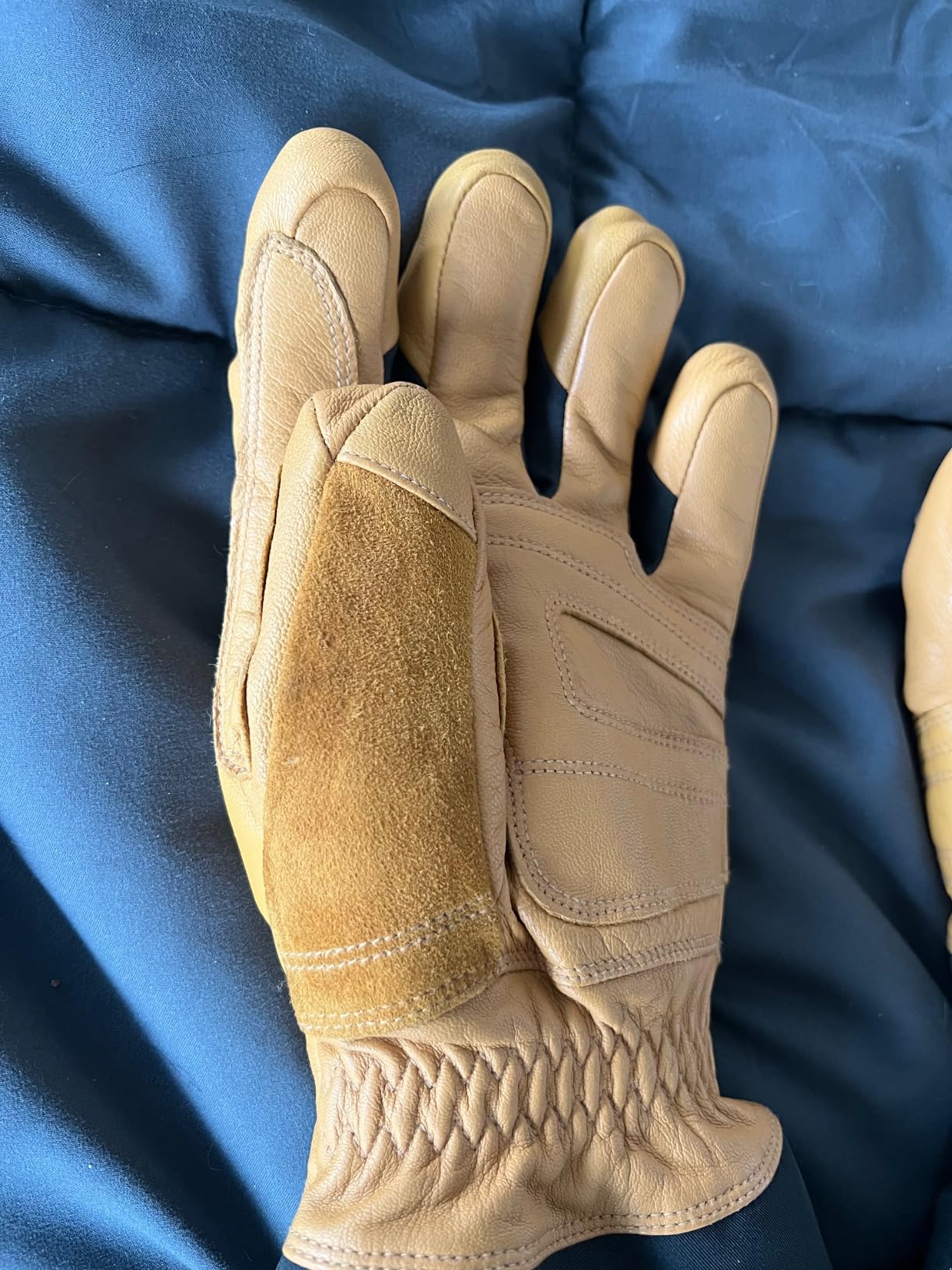 BLACK DIAMOND Guide Ski/Snow Gloves | Premium Leather Shell | Waterproof & Insulated | Includes Gore-TEX Insert, Plus Warm Technology & Goat Leather Palm Customer Review BLACK DIAMOND Guide Ski/Snow Gloves | Premium Leather Shell | Waterproof & Insulated | Includes Gore-TEX Insert, Plus Warm Technology & Goat Leather Palm - Customer Photo 2