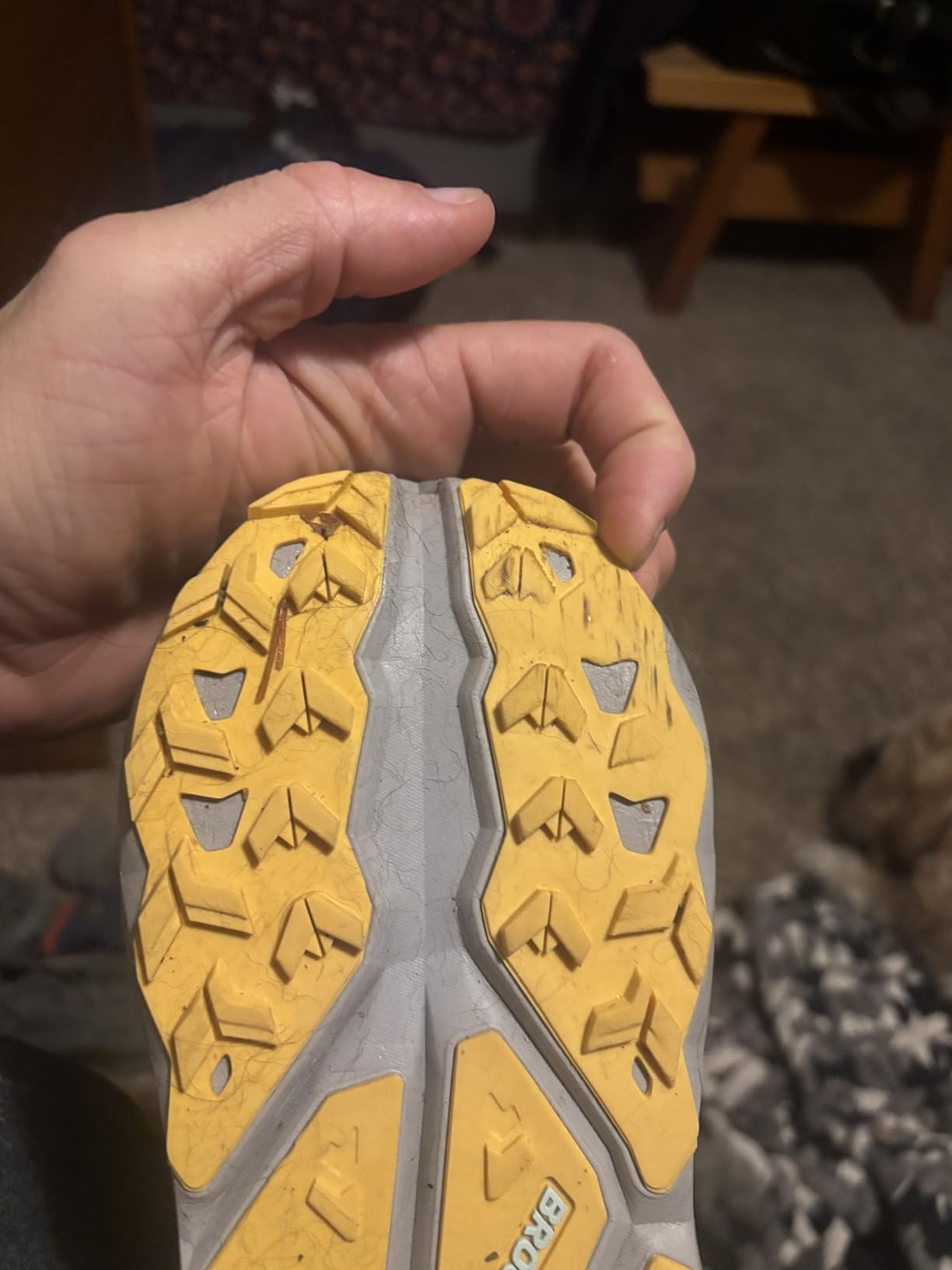 Brooks Men's Cascadia 19 Mountain Trail Running Shoe Customer Review Brooks Men's Cascadia 19 Mountain Trail Running Shoe - Customer Photo 2