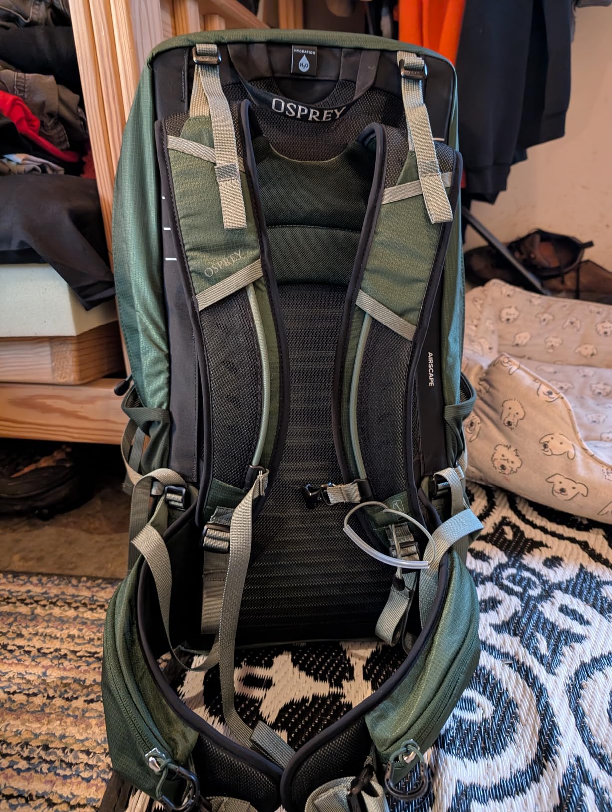 Osprey Talon 22L Men's Lightweight Hiking Backpack - Small Daypack for Travel & Camping, Phantom Grey/Dark Charcoal - Customer Photo 1