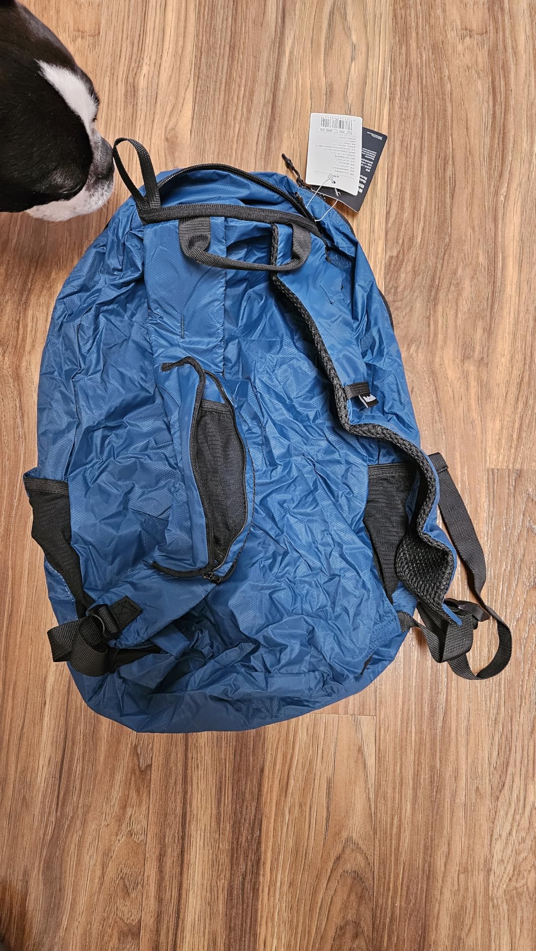 Naturehike 30L Lightweight Hiking Backpack, Waterproof Camping Packable Backpack, Ultralight Daypack for Travel Airplane Customer Review Naturehike 30L Lightweight Hiking Backpack, Waterproof Camping Packable Backpack, Ultralight Daypack for Travel Airplane - Customer Photo 1