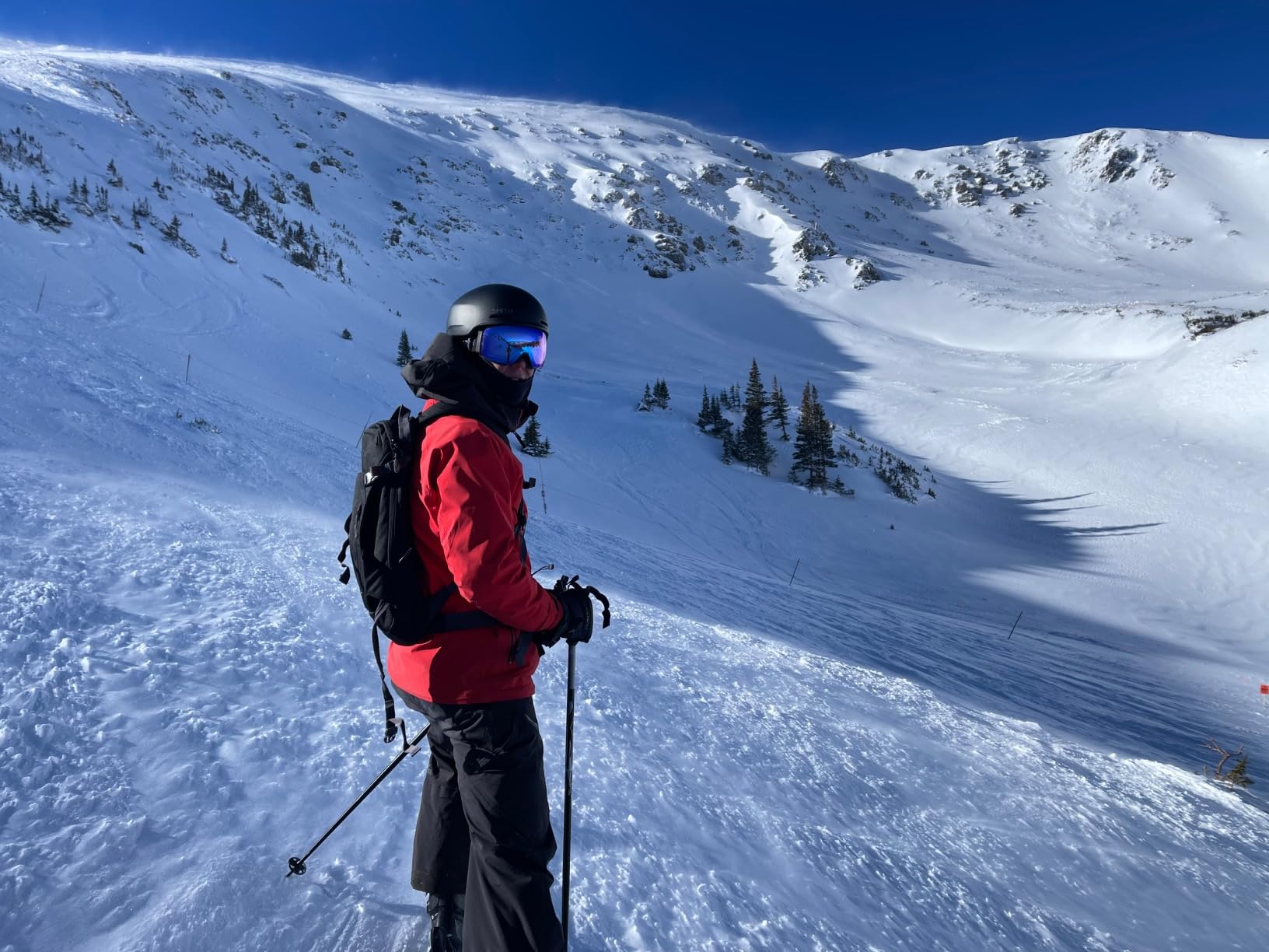 Dakine HELI BACKPACK 12L - BROWN RICE - Customer Photo 1