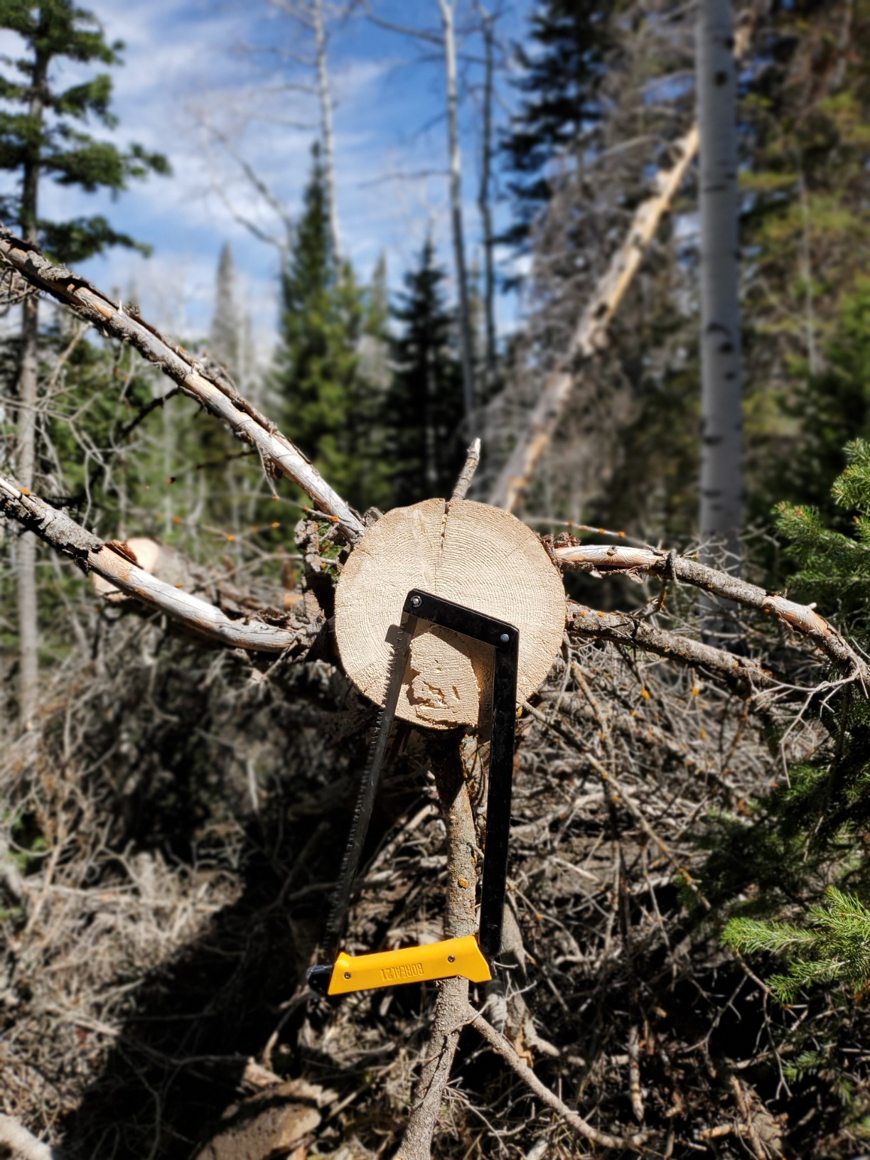 AGAWA ADK26 - Transforming Hatchet & Camping Axe - 2-in-1 Carbon Steel Log Splitter - Camping Gear for Hiking, Fishing, Hunting, Bushcraft, Survival Kit & Bug Out Bag Customer Review AGAWA ADK26 - Transforming Hatchet & Camping Axe - 2-in-1 Carbon Steel Log Splitter - Camping Gear for Hiking, Fishing, Hunting, Bushcraft, Survival Kit & Bug Out Bag - Customer Photo 2