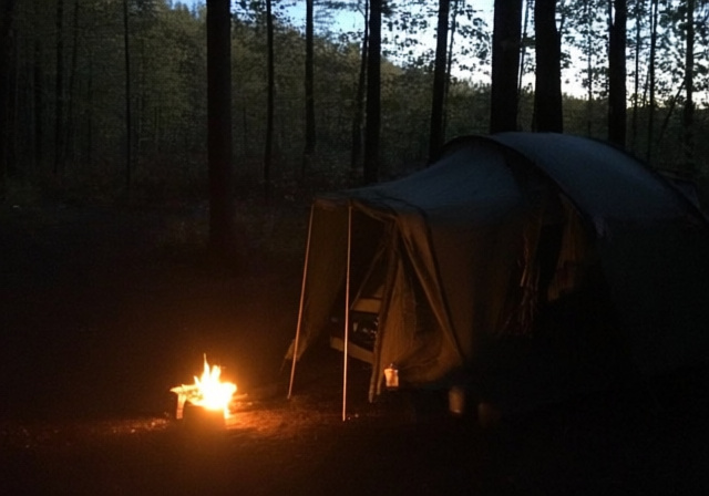 Will Coyotes Attack Humans In A Tent? [cy] Safety Guide - sixstoreys