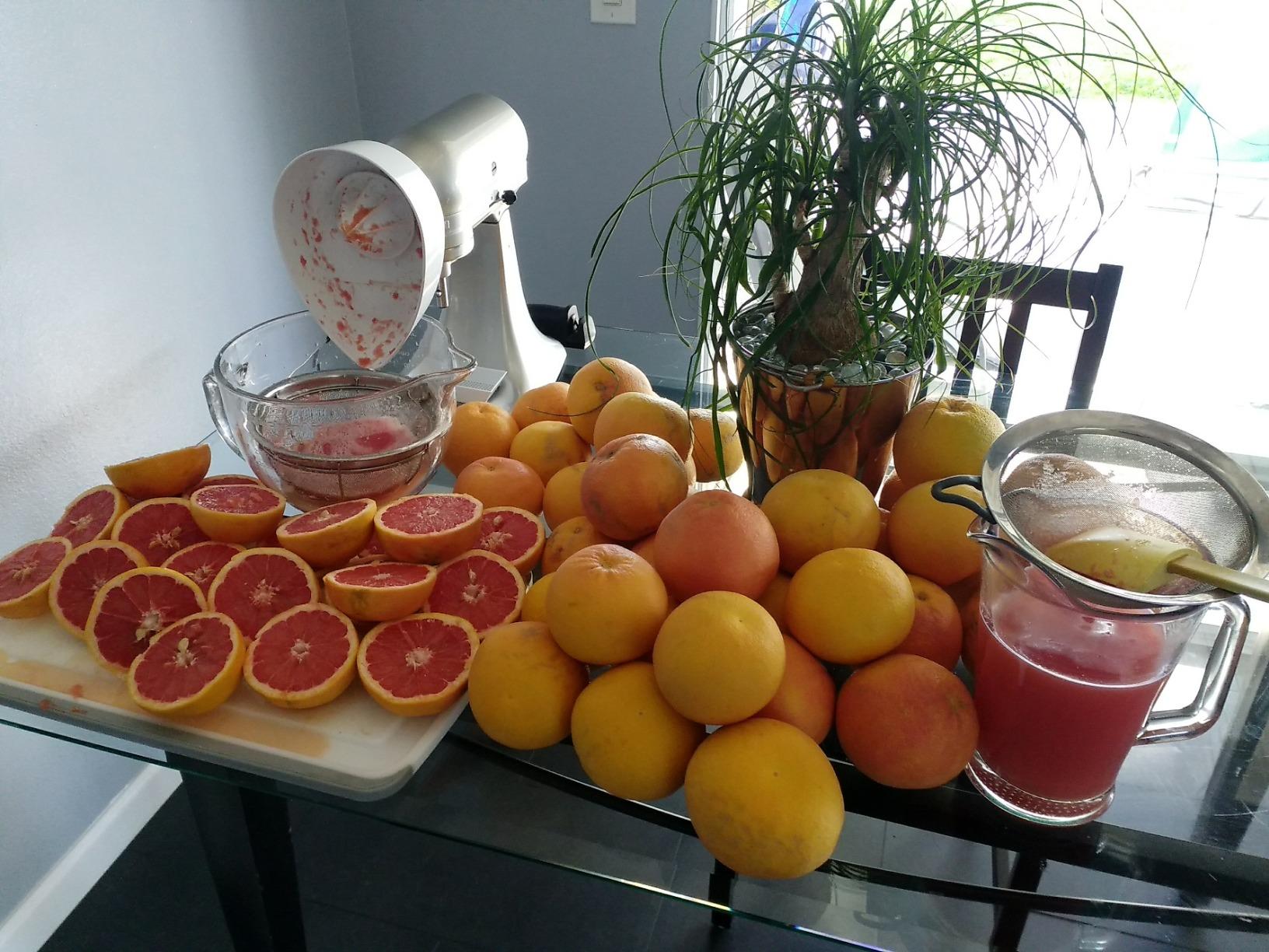 KitchenAid White Citrus Juicer Attachment for KitchenAid Stand Mixers, JE Customer Review KitchenAid White Citrus Juicer Attachment for KitchenAid Stand Mixers, JE - Customer Photo 1