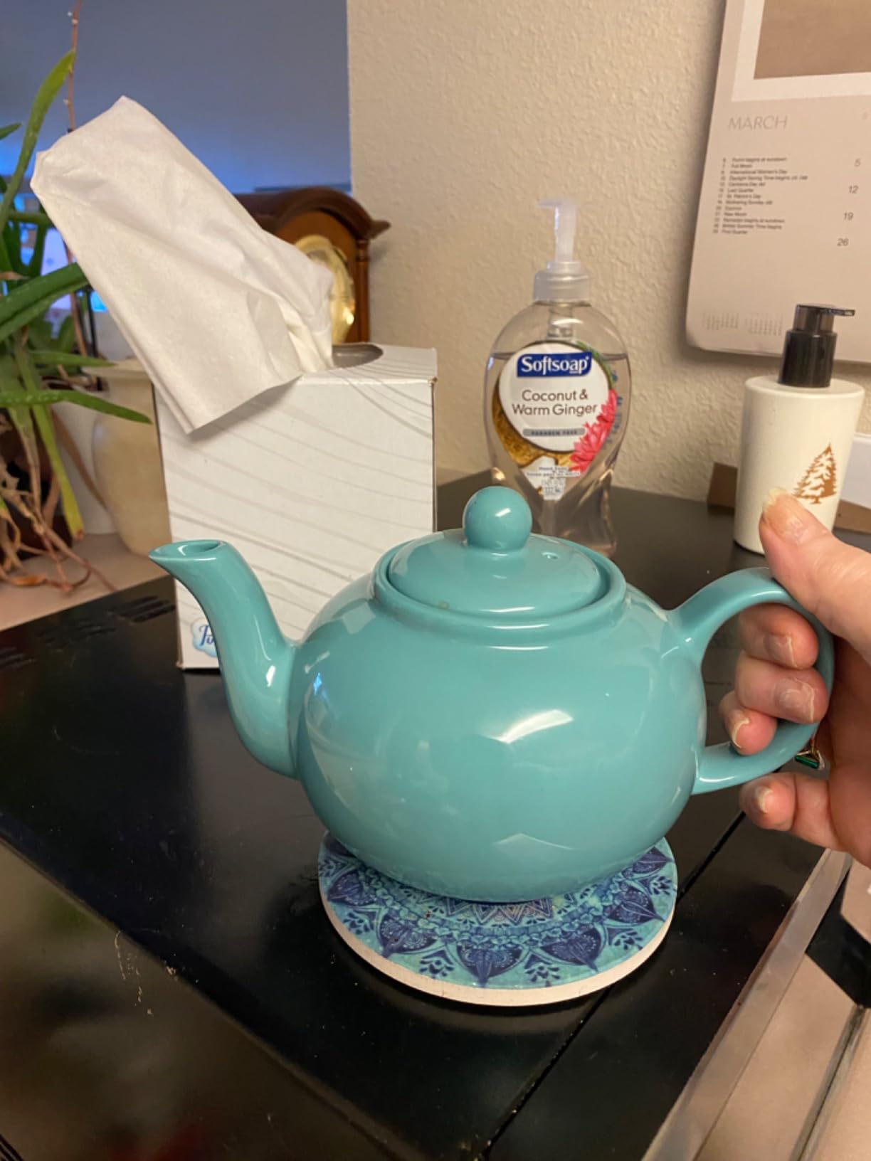 RSVP Large Stoneware 6-Cup Teapot, Blue Customer Review RSVP Large Stoneware 6-Cup Teapot, Blue - Customer Photo 1