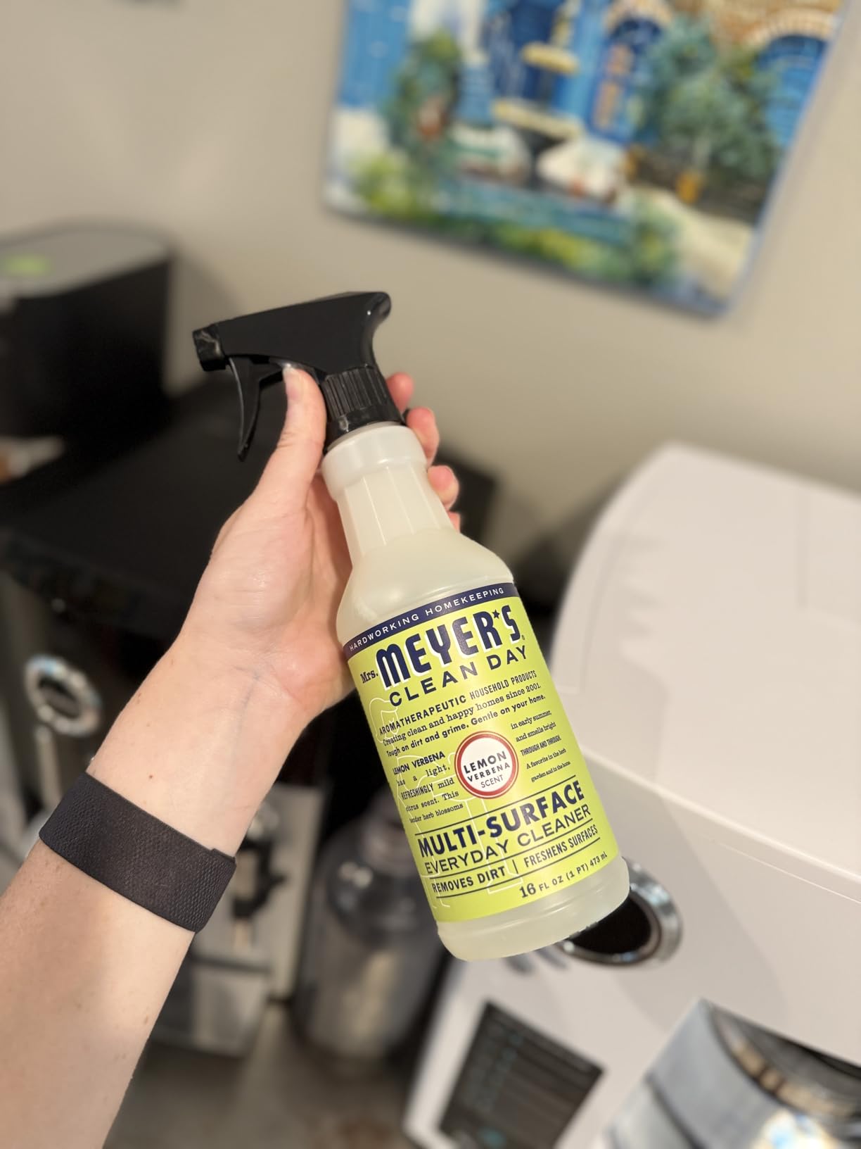 MRS. MEYER'S CLEAN DAY All-Purpose Cleaner Spray, Lemon Verbena, 16 fl. oz Customer Review MRS. MEYER'S CLEAN DAY All-Purpose Cleaner Spray, Lemon Verbena, 16 fl. oz - Customer Photo 4