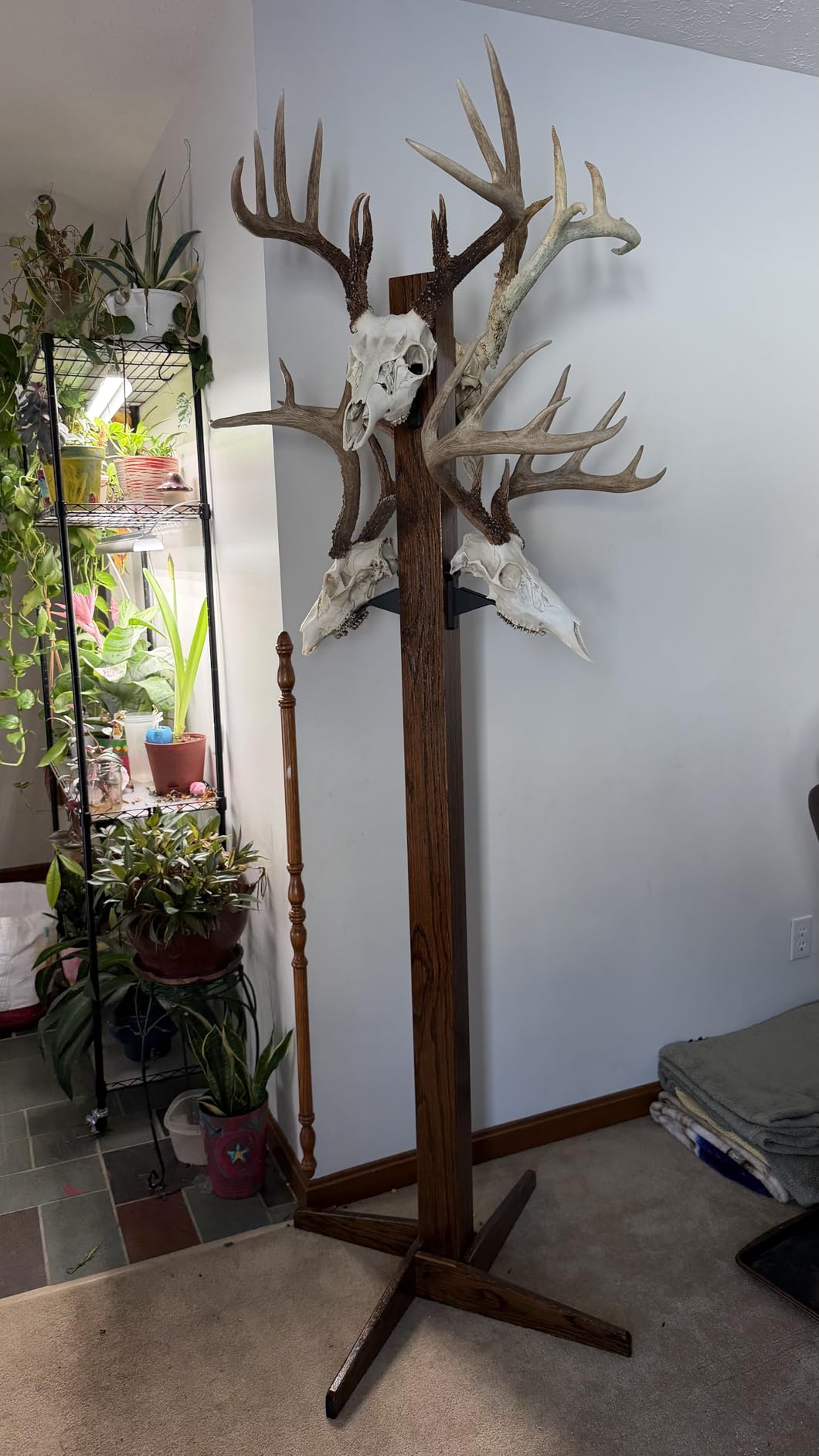 Minwax 222404444 Wood Finish, Special Walnut Stain, Half Pint Customer Review Minwax 222404444 Wood Finish, Special Walnut Stain, Half Pint - Customer Photo 1