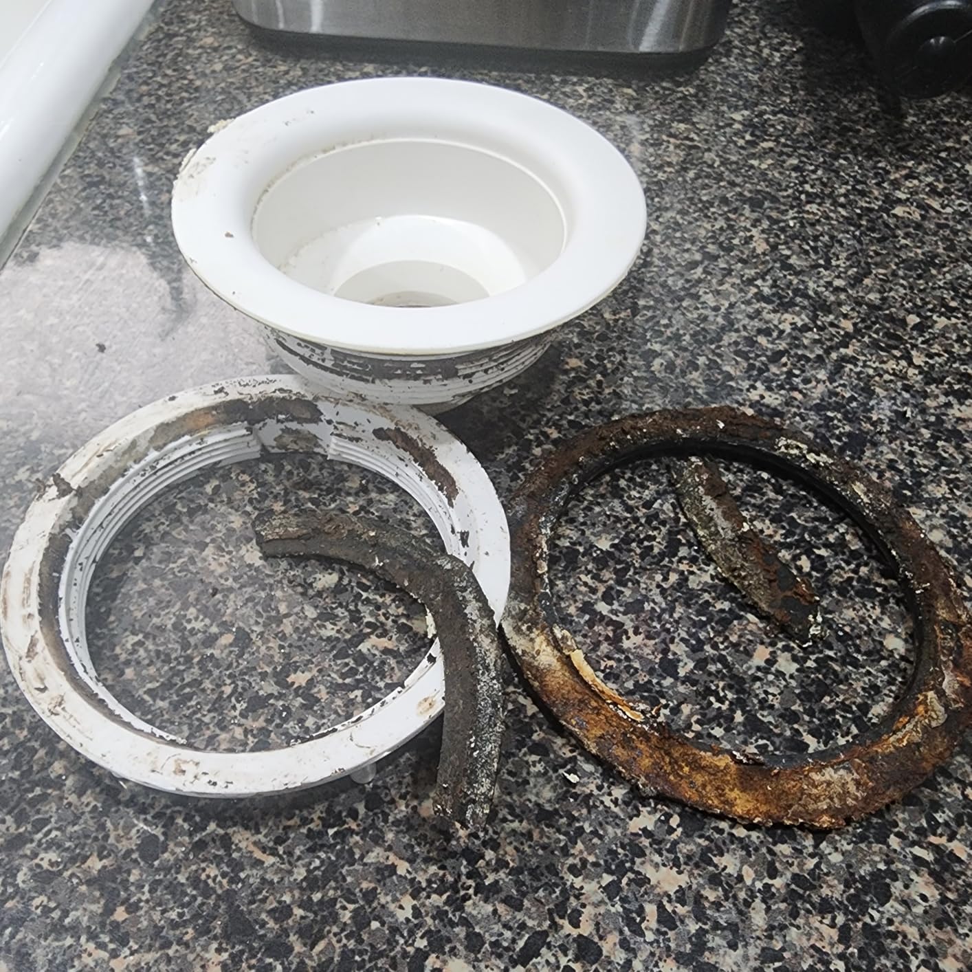 Moen Kitchen Sink Strainer Basket with Drain Assembly, Stainless Steel, 22036 - Customer Photo 2