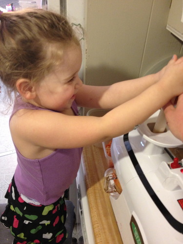 Tribest Greenstar GSE-5000 Elite Twin Gear Cold Press Slow Masticating Juicer (White) Customer Review Tribest Greenstar GSE-5000 Elite Twin Gear Cold Press Slow Masticating Juicer (White) - Customer Photo 2