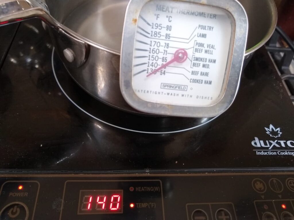 Best 120v Induction Cooktop