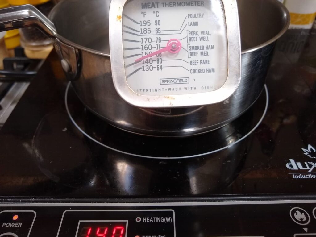 Best 120v Induction Cooktop