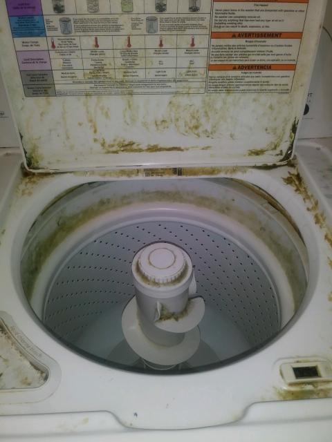 Glisten Washing Machine Cleaner, Helps Remove Odor, Buildup, and Limescale, Fresh Scent, Made in the USA, 12 Ounce Bottle Customer Review Glisten Washing Machine Cleaner, Helps Remove Odor, Buildup, and Limescale, Fresh Scent, Made in the USA, 12 Ounce Bottle - Customer Photo 1