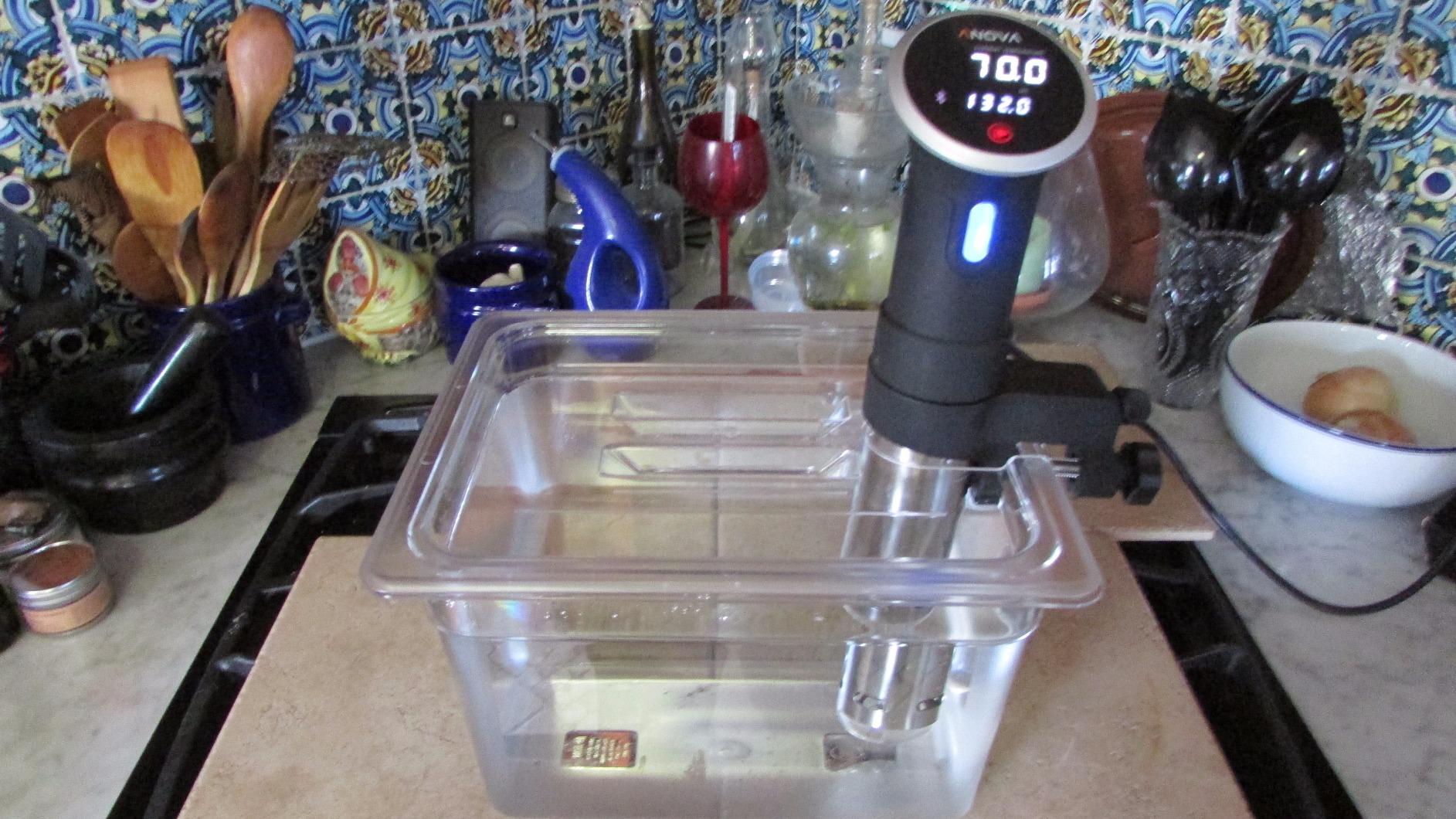 LIPAVI Sous Vide Container Model C20 6.5 Gallon (26 qt) 21 x 12.8 Inch, 8 Inch deep, Clear, Heat-Resistant Polycarbonate Tub - NOT INCLUDED Matching rack and lids for Joule, Anova plus plus sold separately - Customer Photo 1